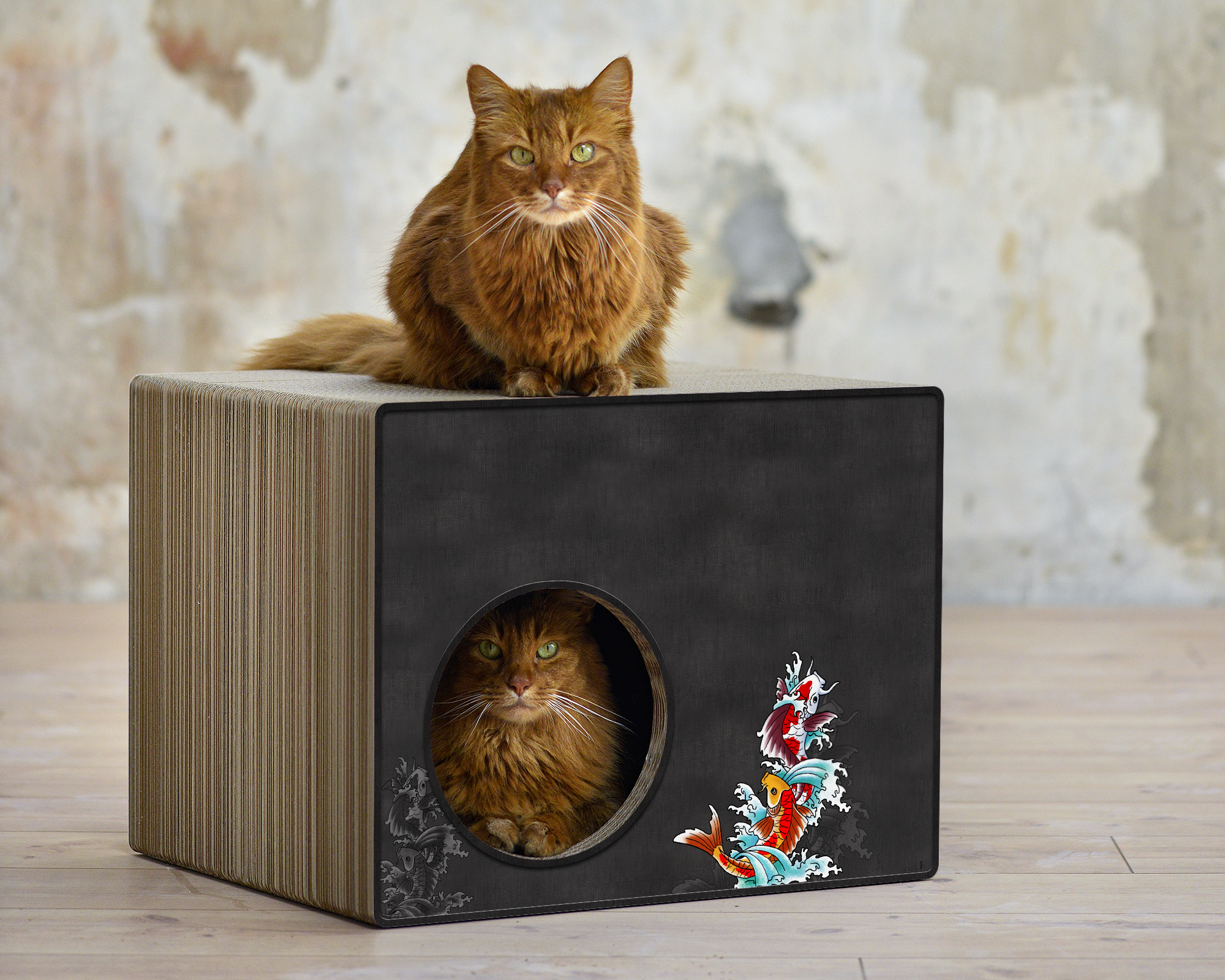 PHREDIA Eckhaus von cat-on, eine Katze oben liegend, eine Katze innen