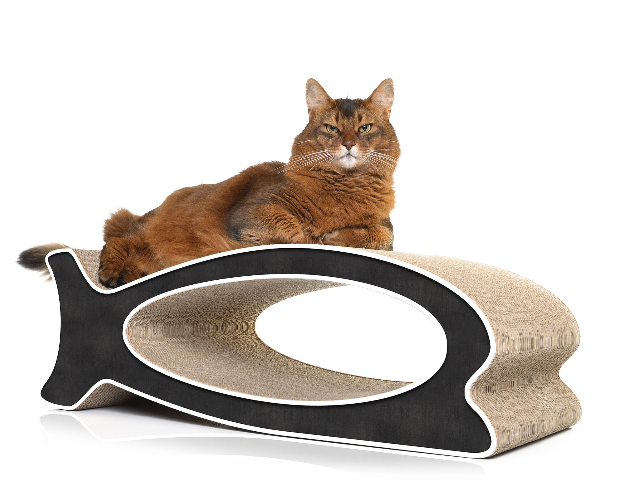 A cat playing and scratching on LE FISH – stylish fish-shaped cardboard cat scratcher