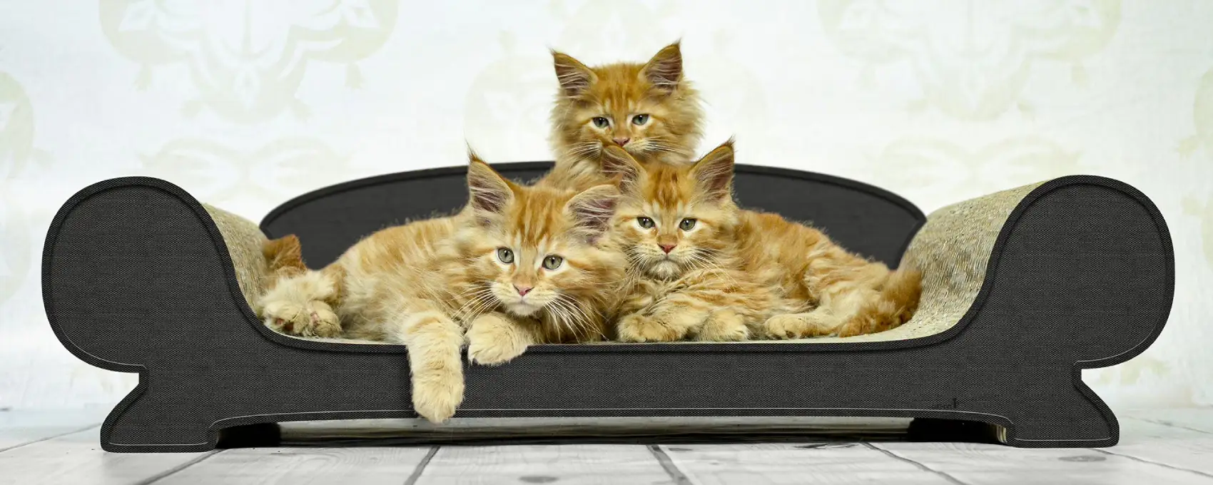 Drei sehr süße Katzenbabys liegen auf dem breiten Katzensofa Vertige aus Wellpappe von cat-on, handmade in Berlin