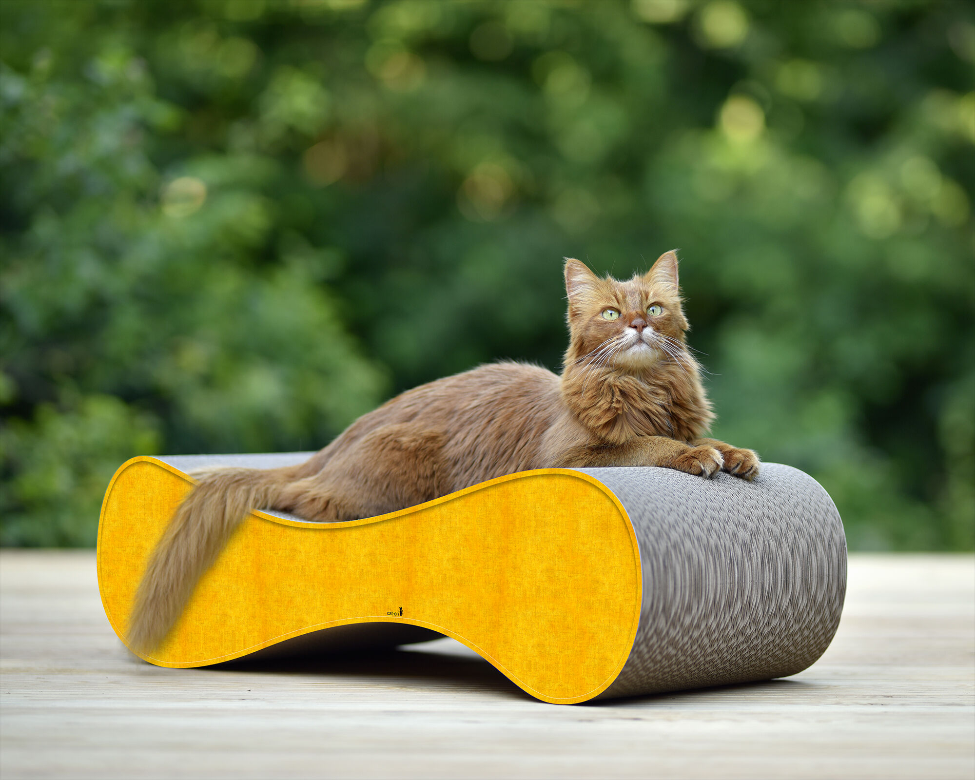 Eine Katze entspannt sich auf LE VER L – dem skulpturalen, formschönen und robusten Kratzmöbel aus nachhaltiger Wellpappe, ideal für modernes Wohnen.