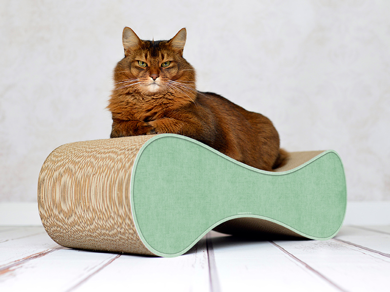 LE VER M Design Kratzmöbel, hemlock mintgrün (006h)