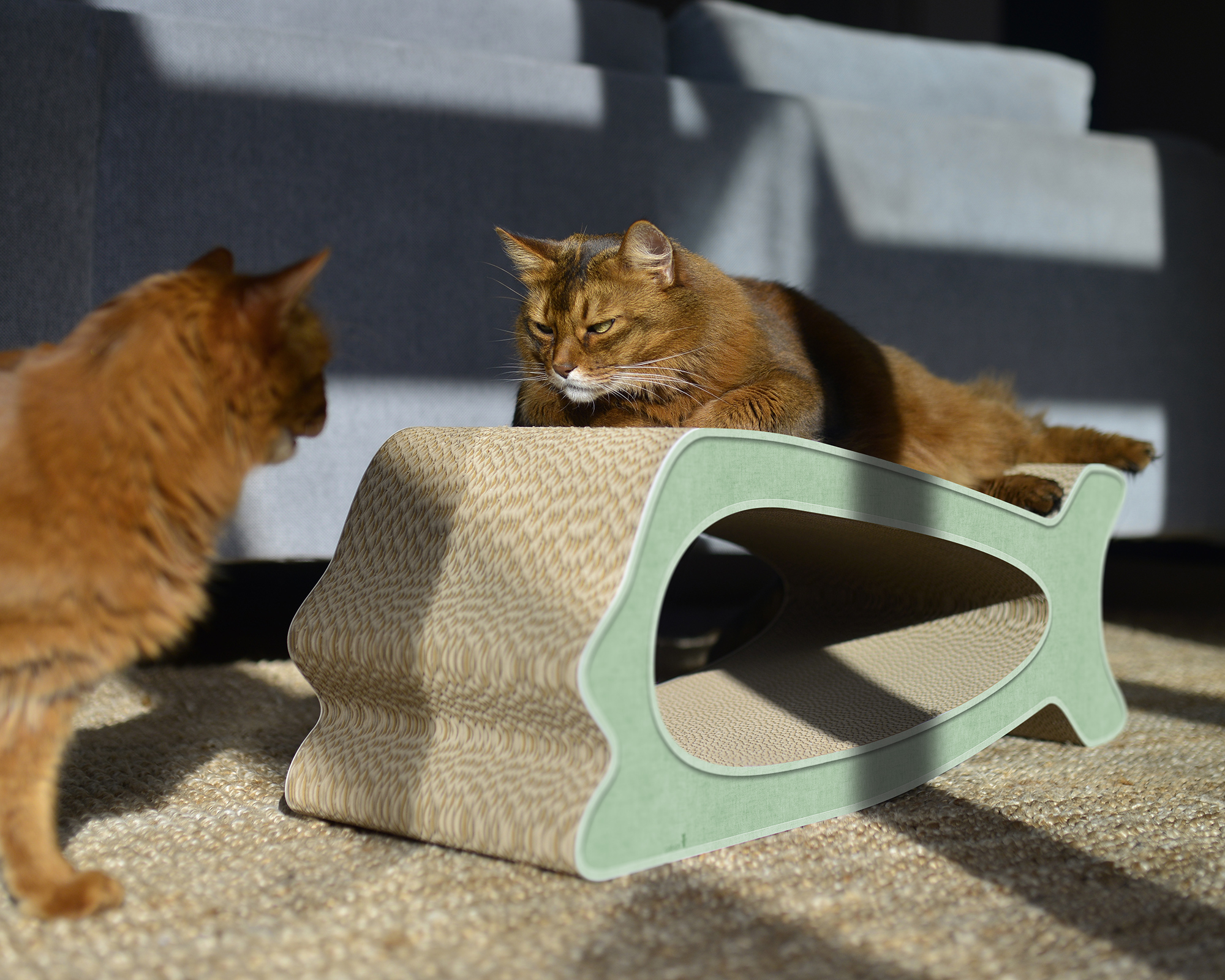 LA BALEINE in Mintgrün (Hemlock) – frisches Design, robuste Wellpappe.