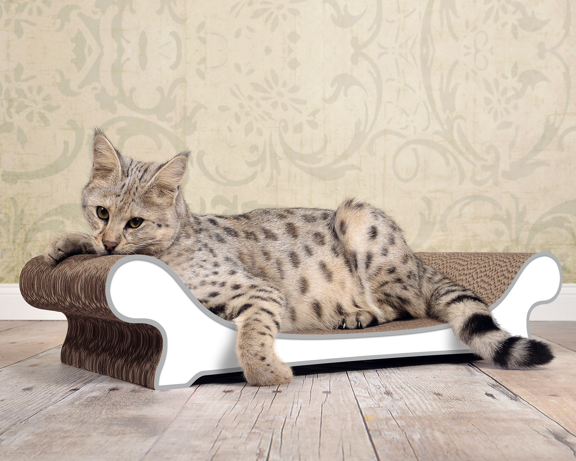 LE CANAPÉ PLUS – Design-Katzensofa aus Wellpappe, handmade in Berlin LE CANAPÉ PLUS cat sofa by cat-on, with cat resting on top