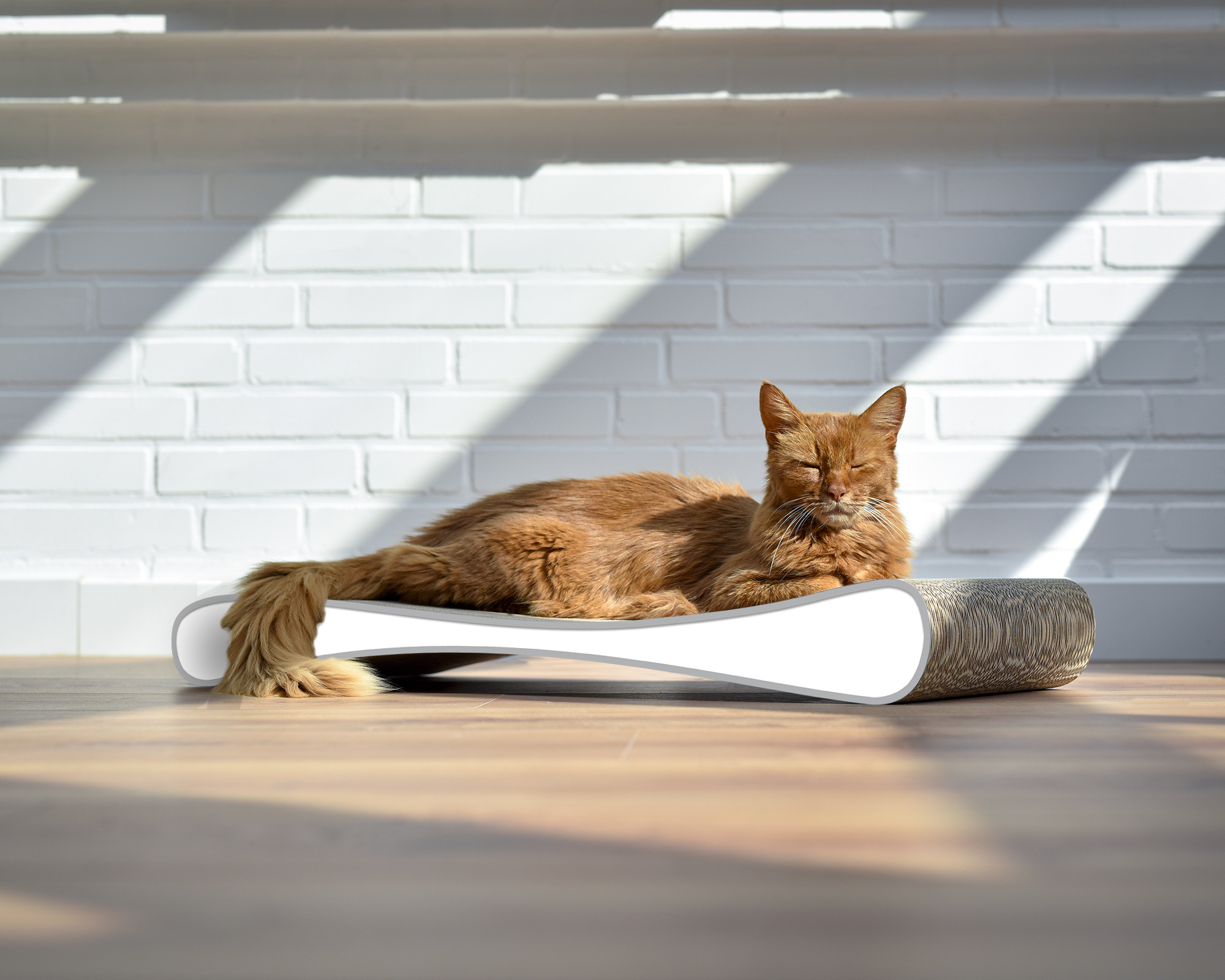 GRATTOIR SLIM LINE design cat scratcher by cat-on, corrugated cardboard furniture with cat on top