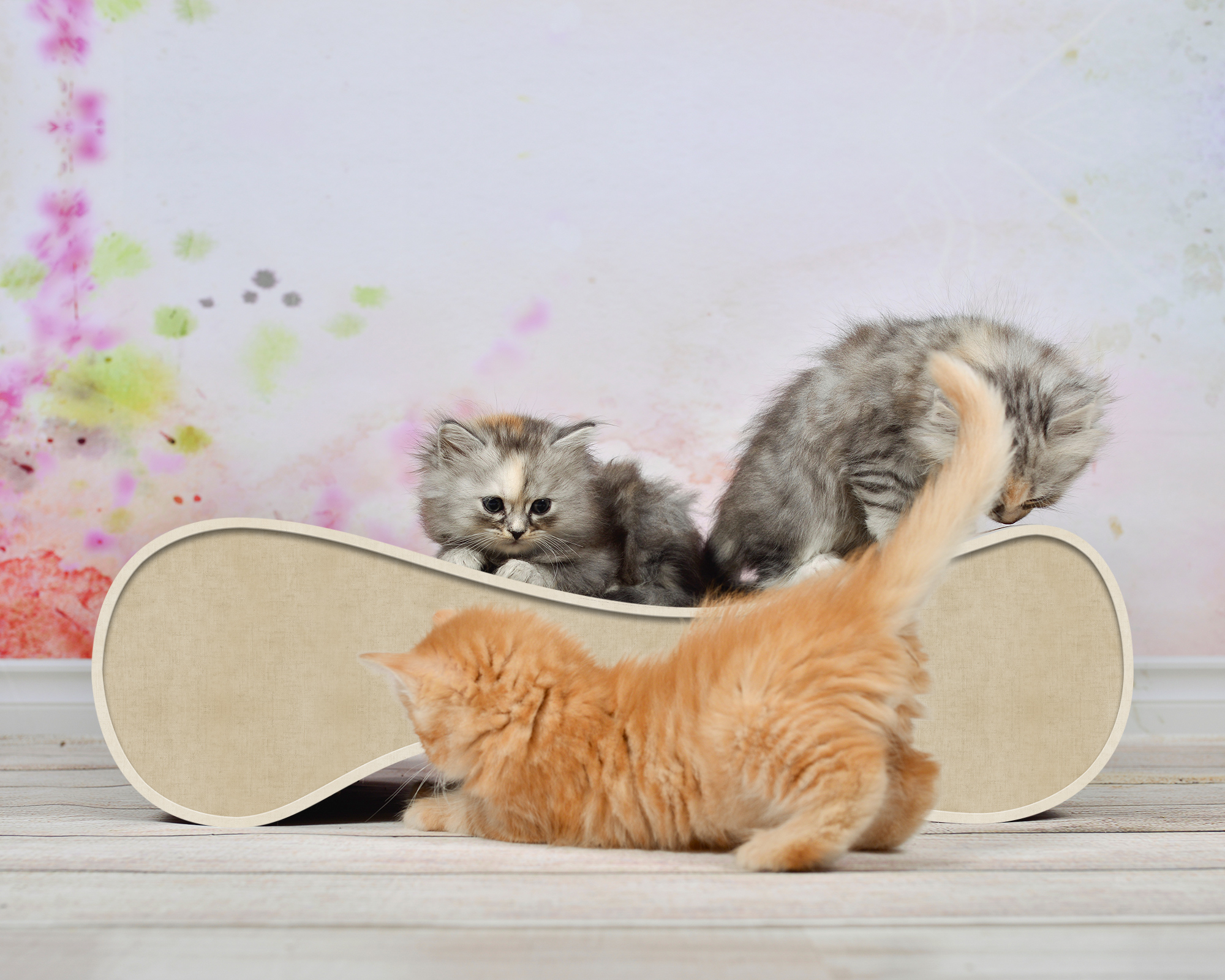 LE VER S Katzensofa in Beige – hochwertiges Katzenmöbel und Liegeplatz aus Kratzpappe, handgefertigt in Deutschland