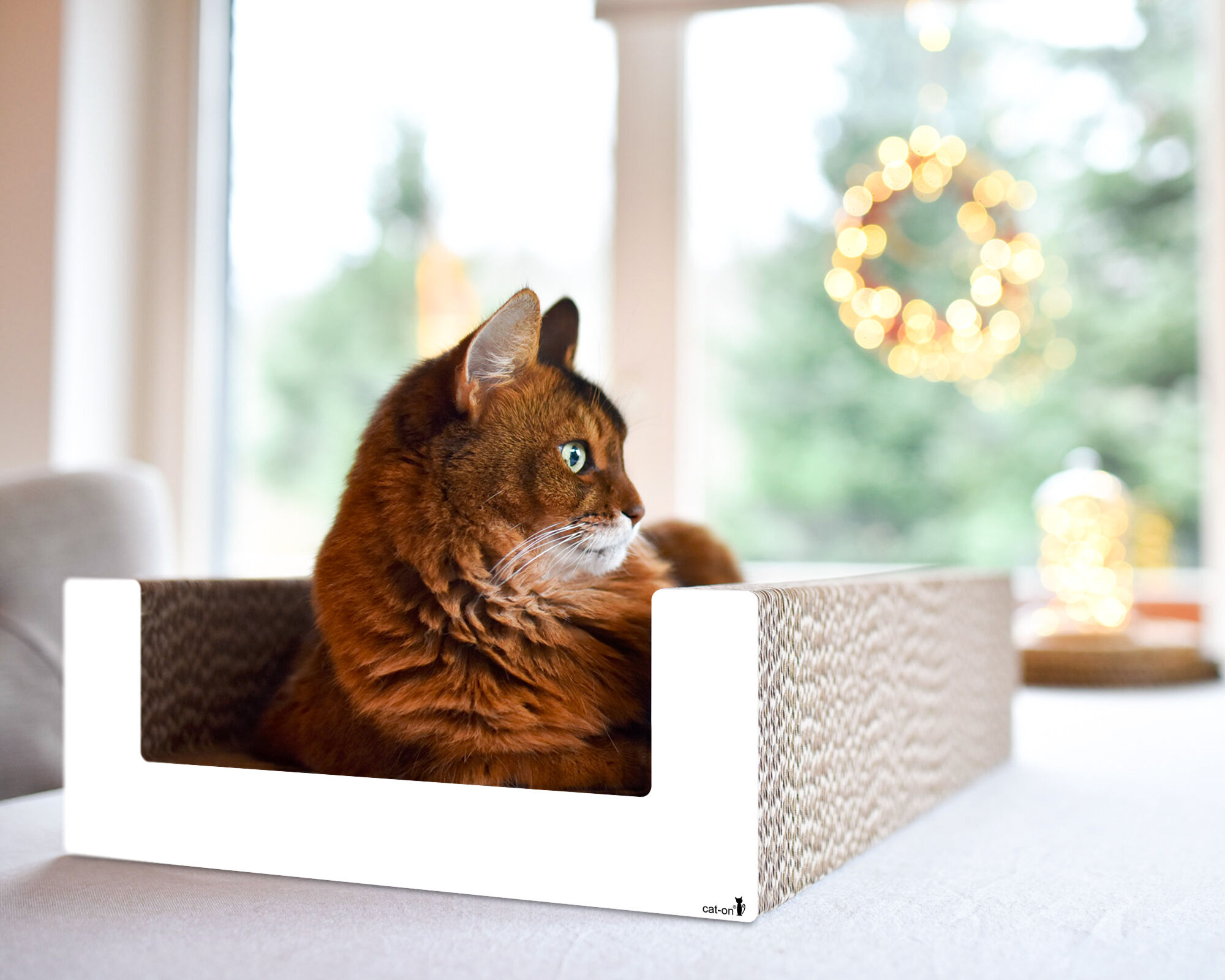 Cat on PURRFECT SCRATCH LOUNGE – stylish cardboard scratching board A cat relaxing and scratching on the PURRFECT SCRATCH LOUNGE – a modern designer scratching lounge made of sustainable corrugated cardboard for cats.