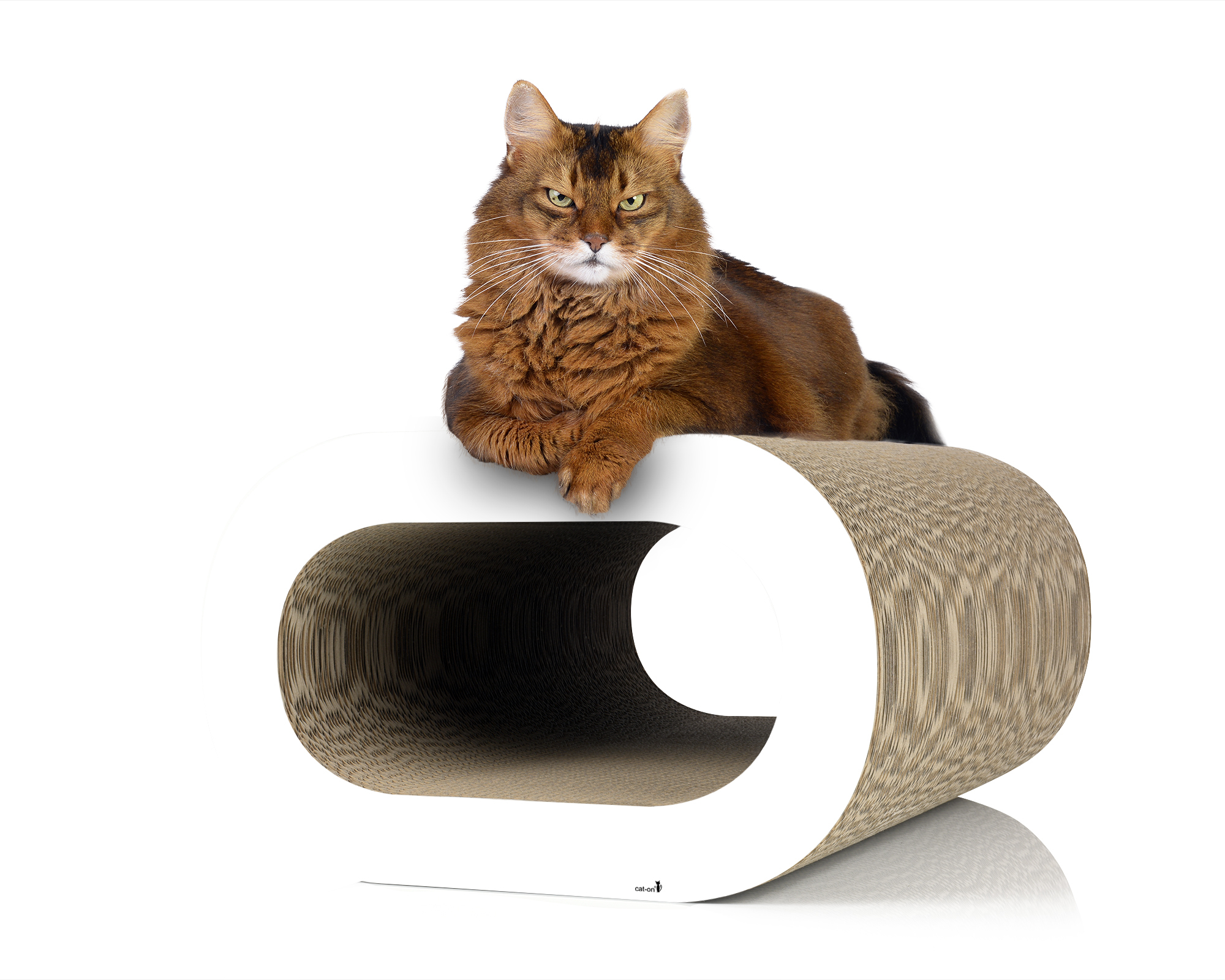 Katze in LE TRONC – stylische Kratzhöhle und modernes Kratzmöbel Eine Katze entspannt in LE TRONC – einer stylischen Kratzhöhle aus nachhaltiger Wellpappe, ein modernes Kratzmöbel für Katzen mit elegantem Design.