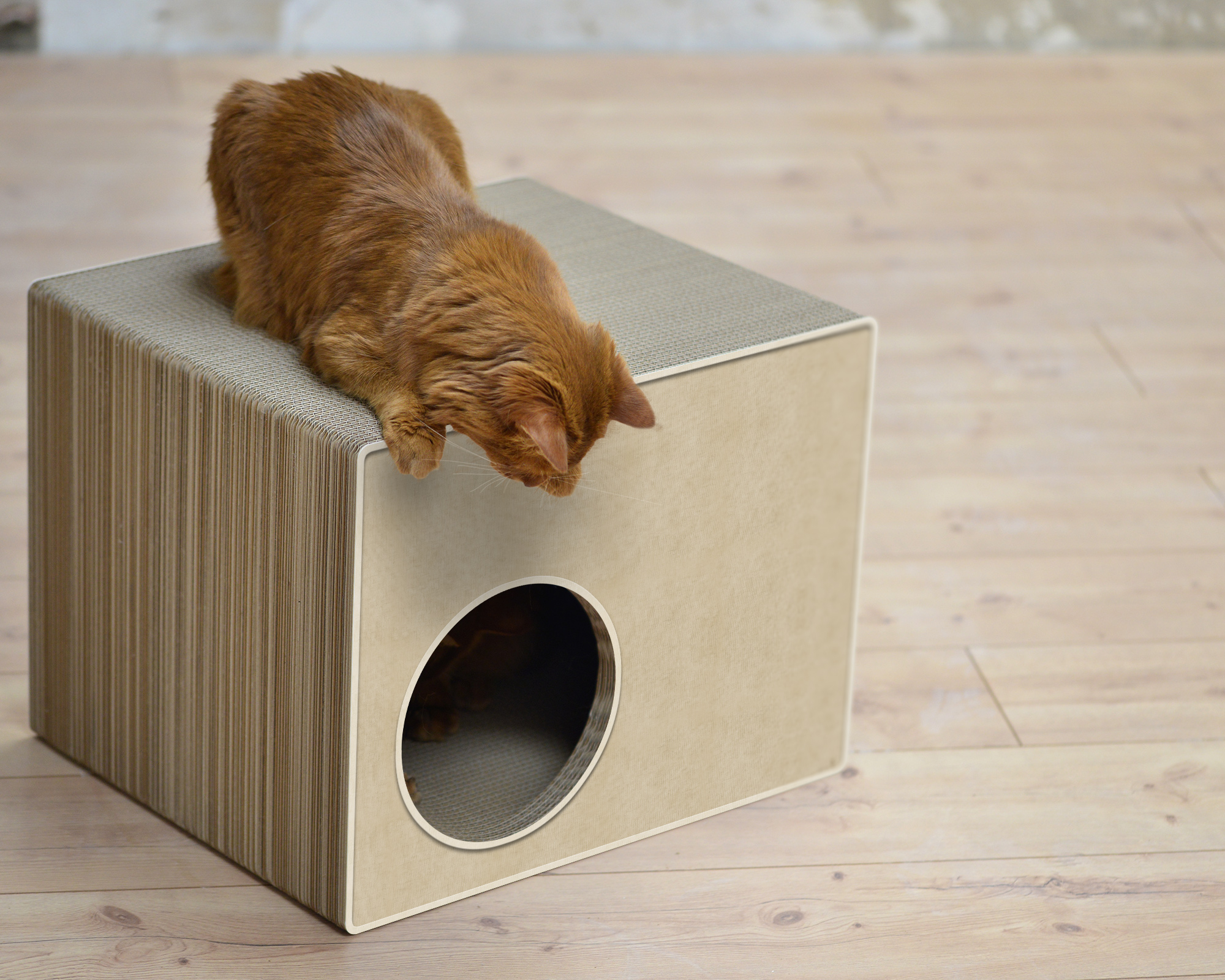 PHREDIA Eckhaus von cat-on, Katze im Inneren des Design-Kratzmöbels aus Wellpappe