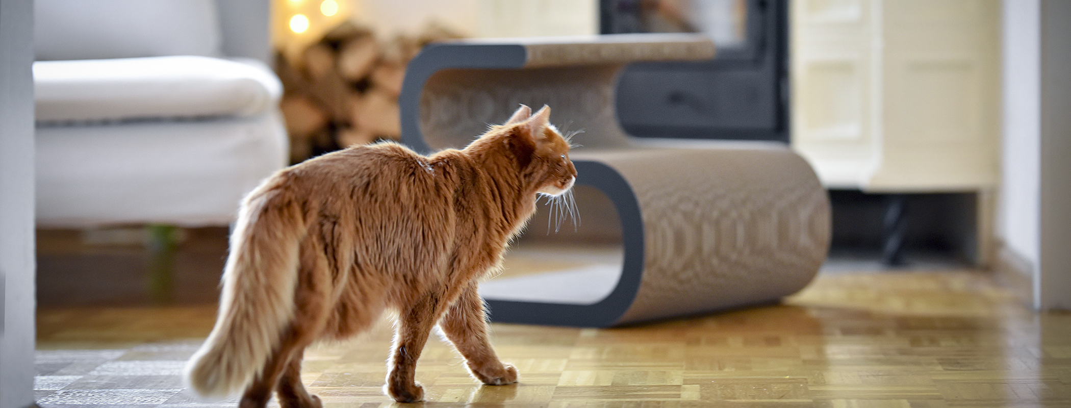 LIGNE S griffoir design, blanc brillant (000x) LIGNE S griffoir design, blanc brillant (000x)