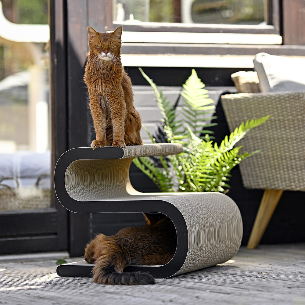 Kratzmöbel aus Pappe – robust & beliebt bei Katzen Katze mit grimmigem Blick sitzt auf Kratzmöbel aus stabiler Kratzpappe