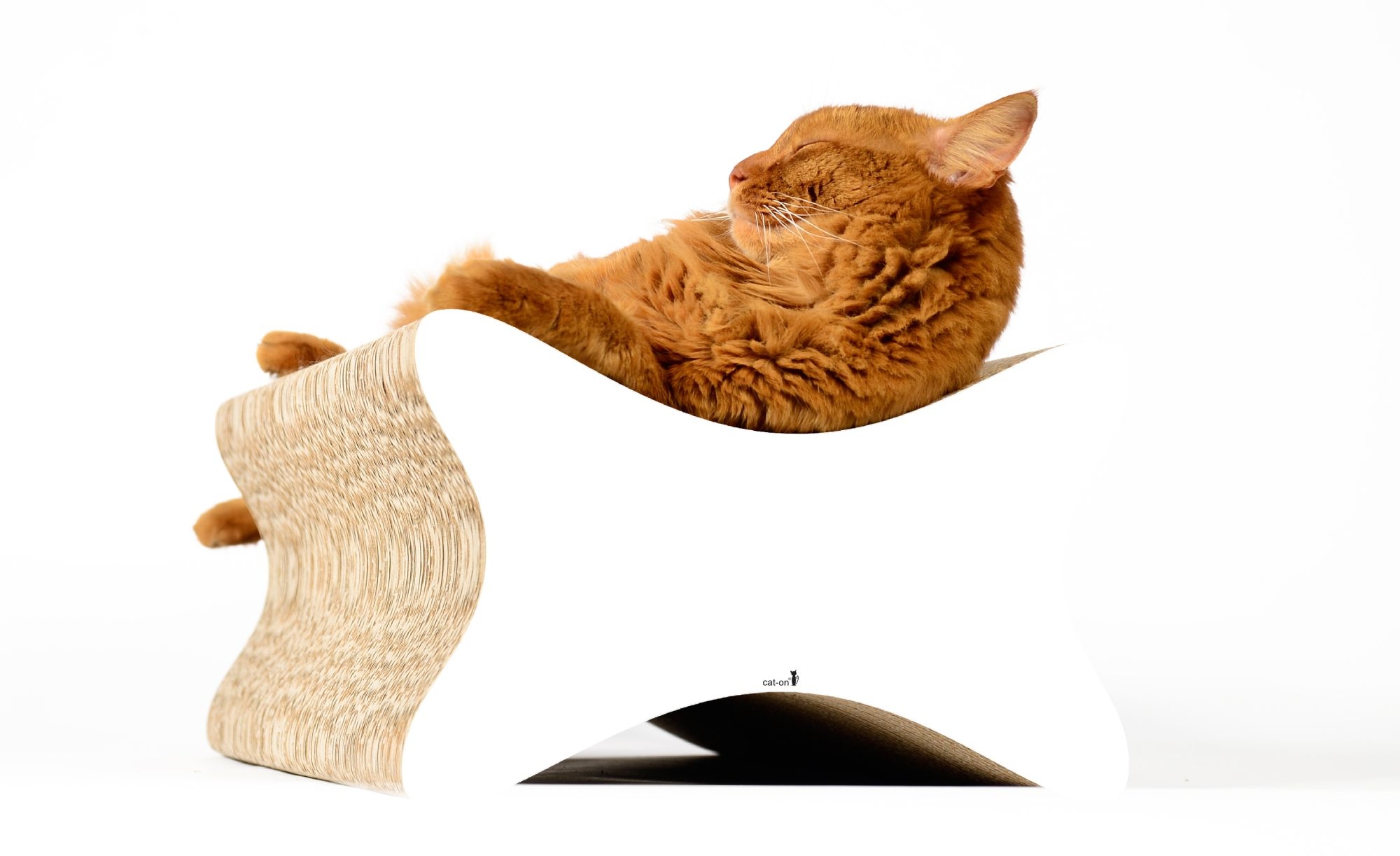 Katze auf LE PAPILLON Kratzmöbel von cat-on – elegantes Designer Kratzbrett aus Kratzpappe, handgefertigt in Berlin