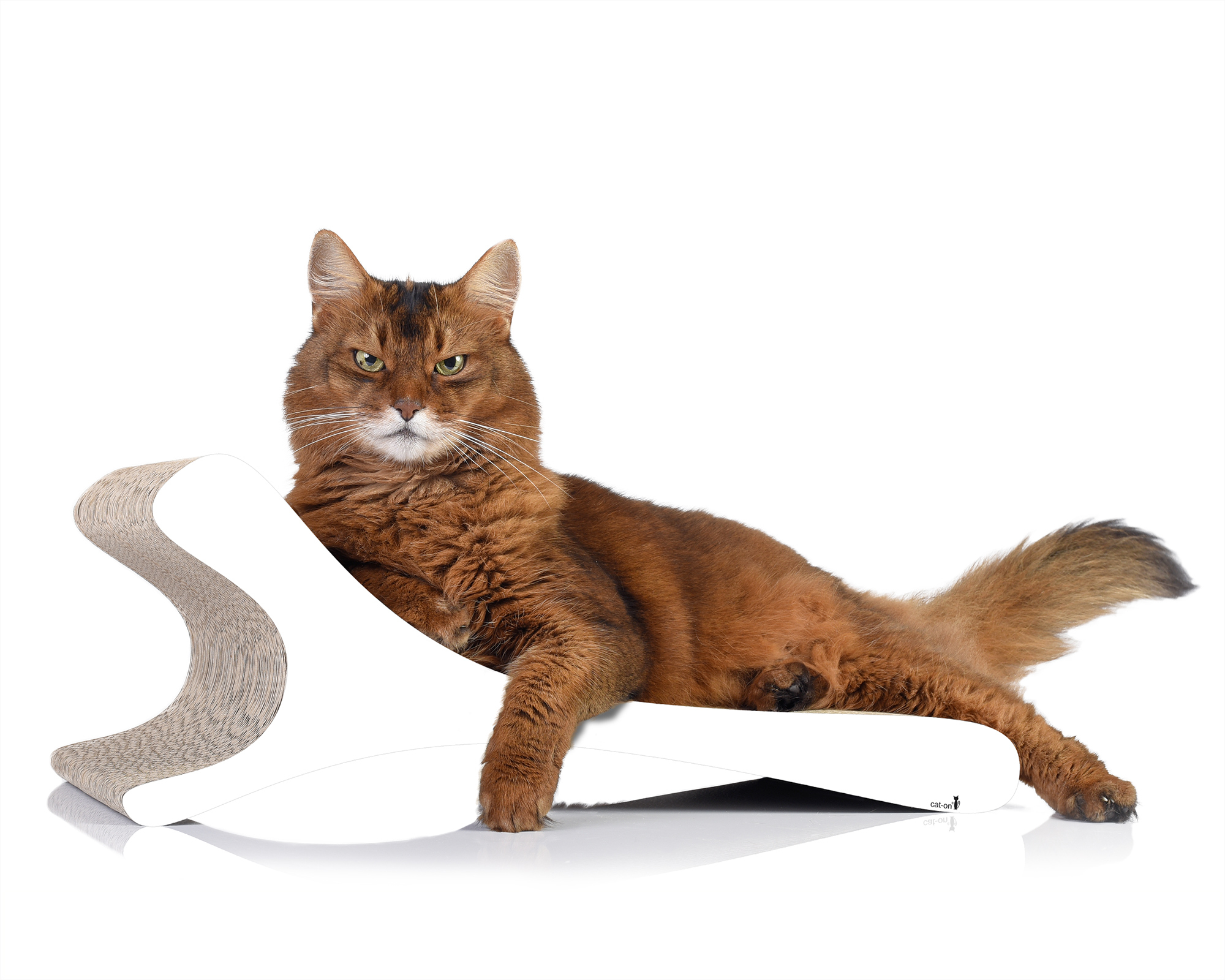 Feline – Katzen-Kratzbrett in Uni-Weiß Stilvolles Kratzbrett Feline in Uni-Weiß aus Wellpappe – Katze auf modernem Design-Möbel