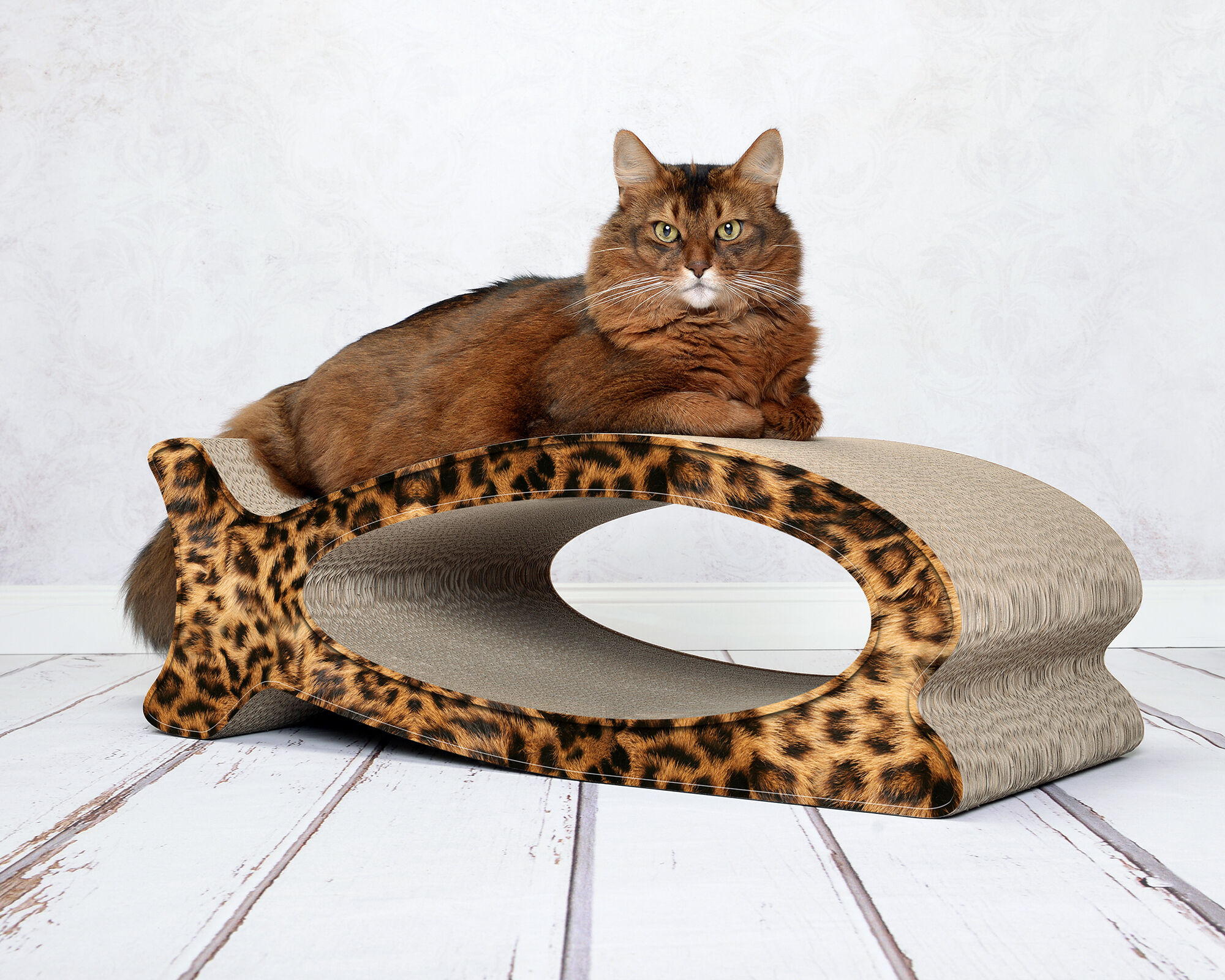 Katze spielt mit LE FISH – Kratzbaum aus Karton in Fischform