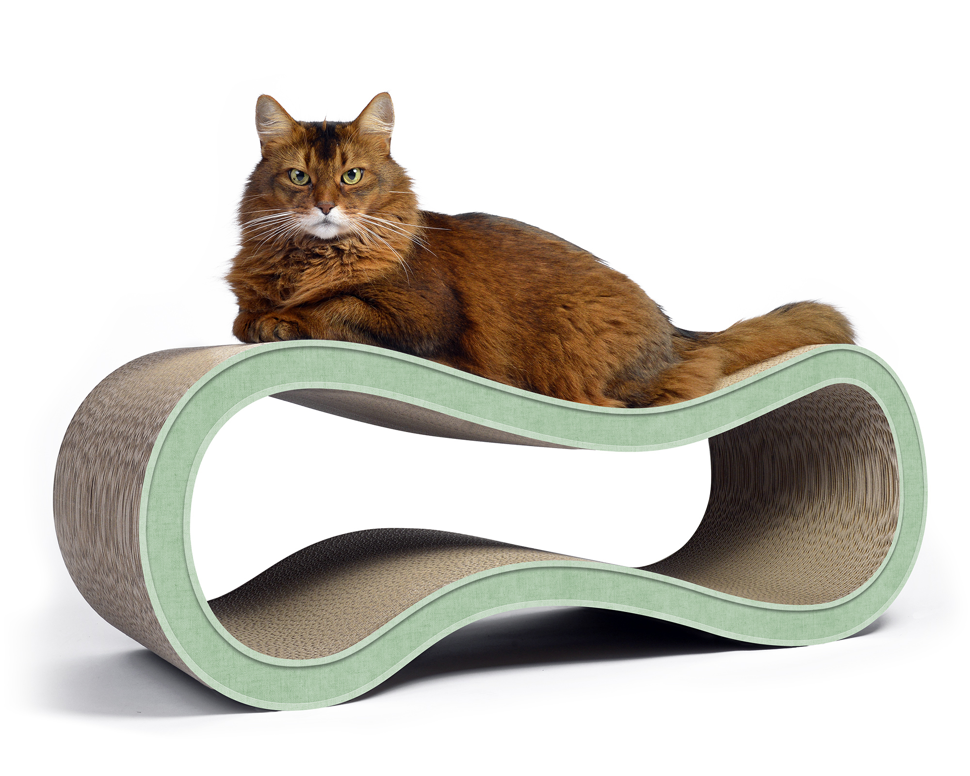 Katze auf SINGHA-L – moderner Design-Kratzbaum aus Kratzpappe von cat-on