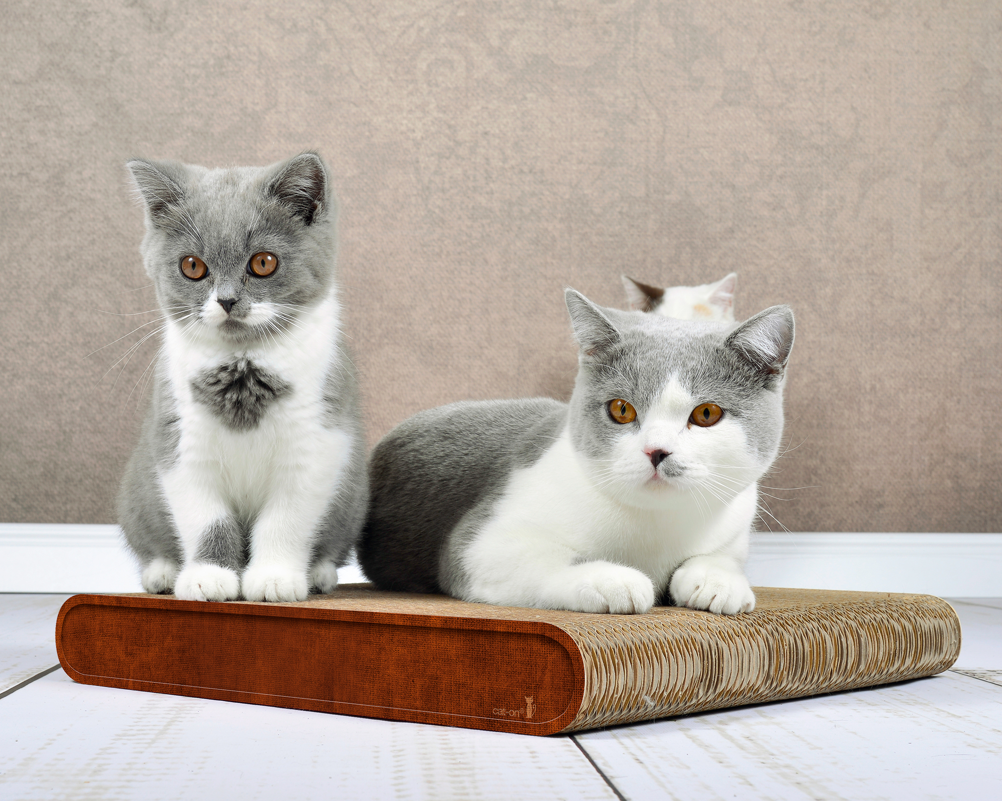 Pappkratzbrett La Planche (002B) – langlebige Kratzpappe, Made in Germany.