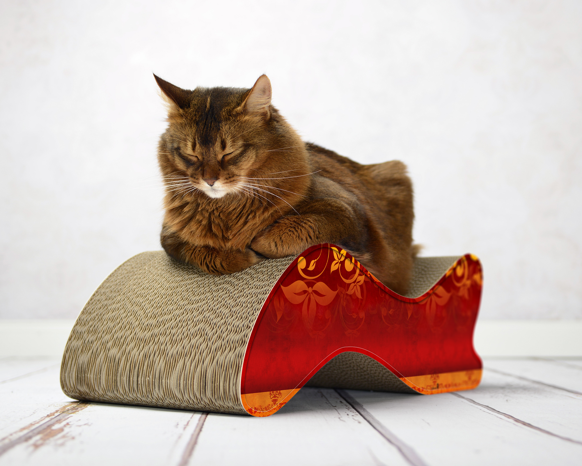 Große Katze auf KABOU – modernes Design-Kratzmöbel in Wellenform für große Katzen