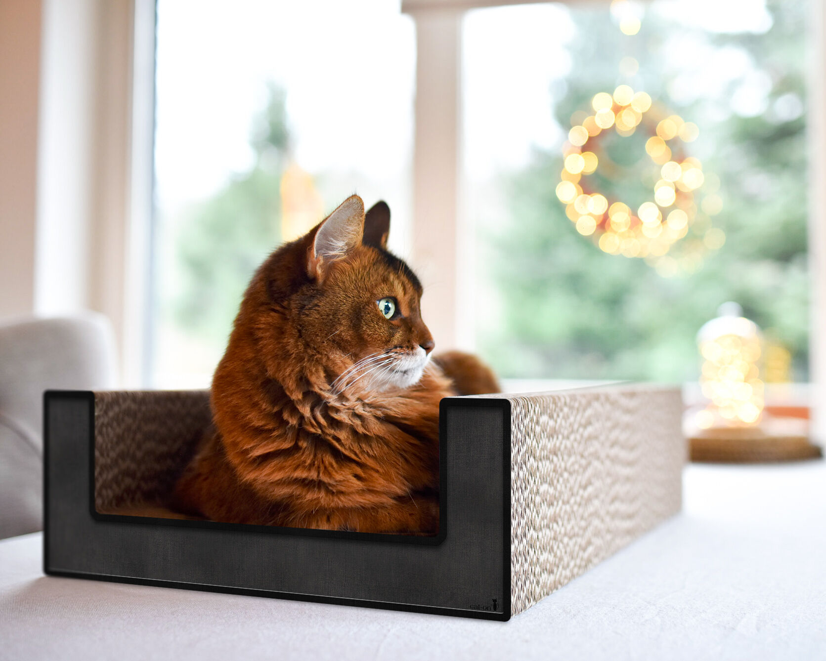 Katze auf PURRFECT SCRATCH LOUNGE – Designer Kratzbrett aus Pappe Eine Katze entspannt sich und kratzt auf der PURRFECT SCRATCH LOUNGE – ein modernes Designer-Kratzmöbel aus hochwertiger Wellpappe für Katzen.