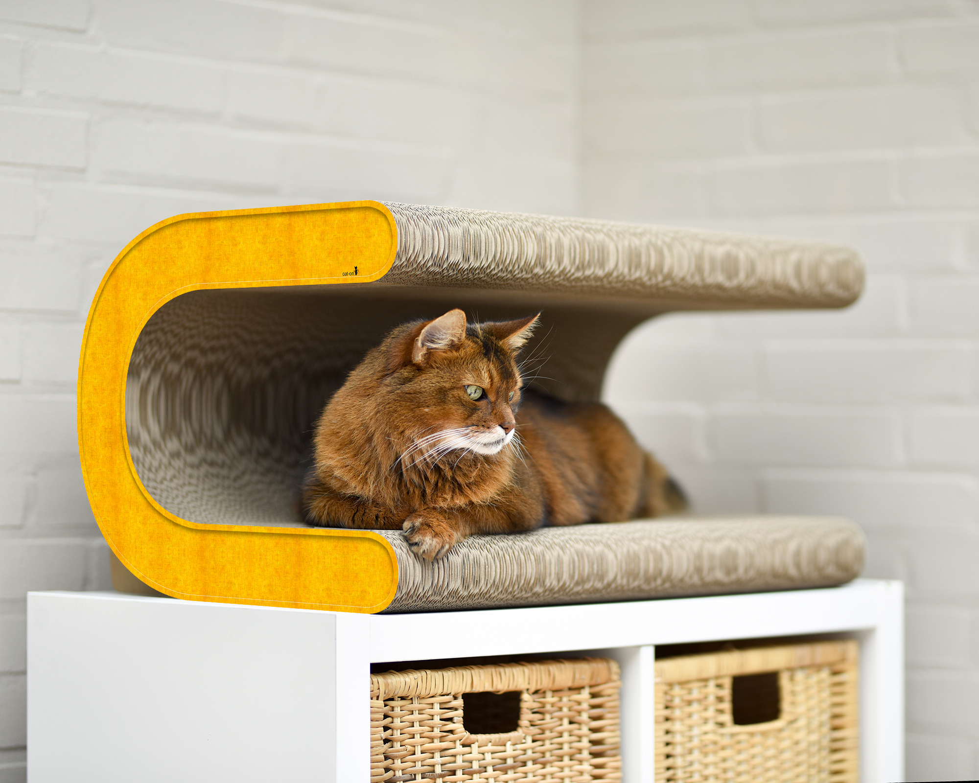 Entspannte Katze auf dem Le Tonneau XL Kratzmöbel von cat-on