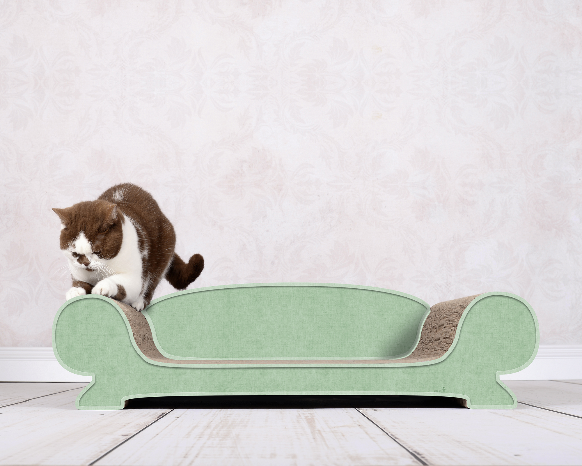 Katze erkundet den Kratzbaum VERTIGE von cat-on in 006H Kratzmoebel Hemlock – hochwertiges, modernes Katzenmöbel.