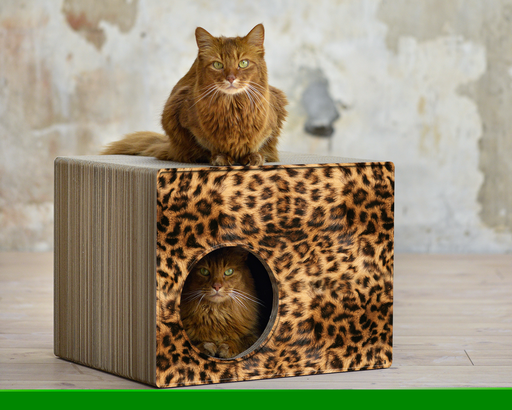 PHREDIA Eckhaus von cat-on, eine Katze oben liegend, eine Katze innen