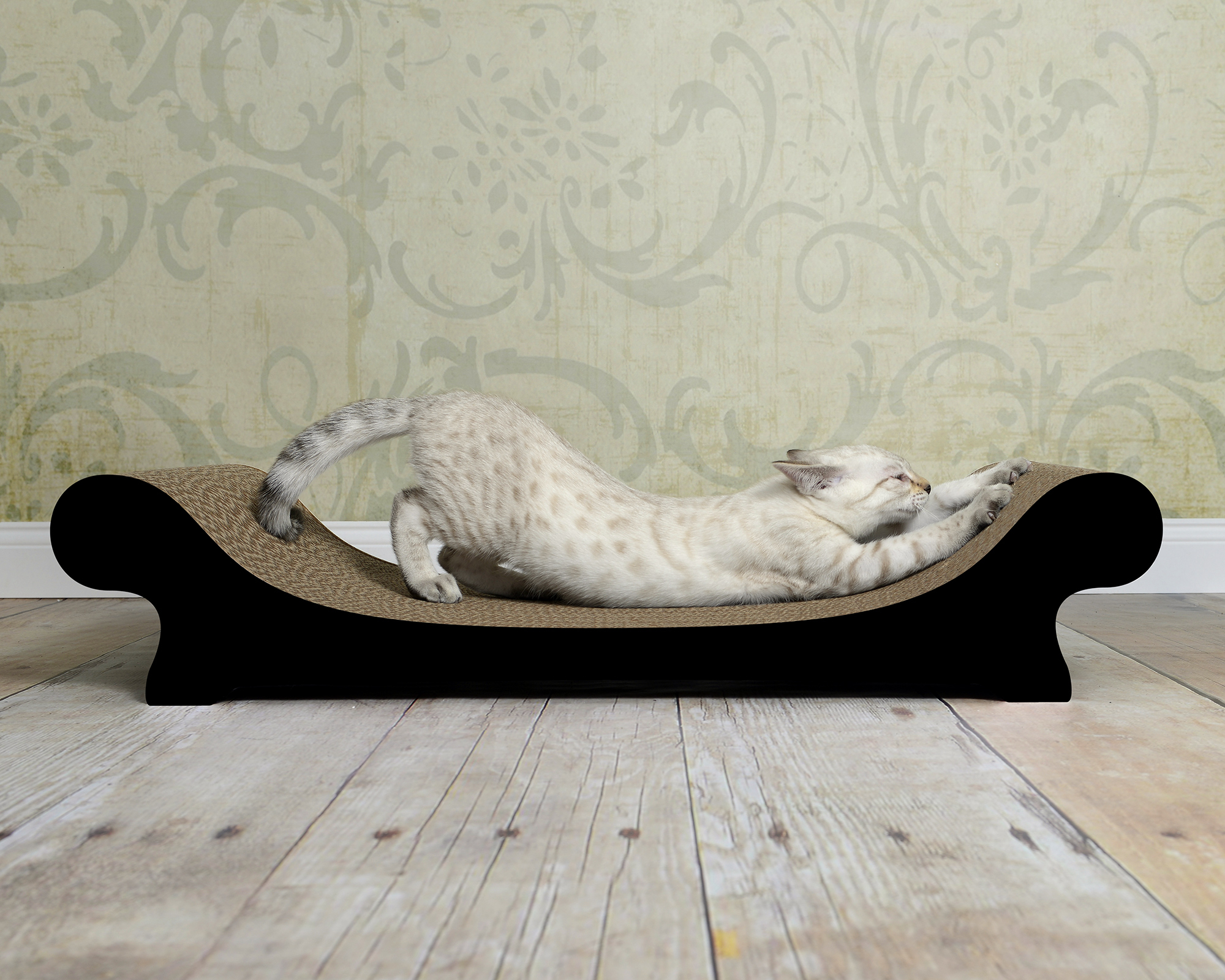 LE CANAPÉ PLUS Katzensofa von cat-on, mit Katze auf Katzenmoebel aus Wellpappe