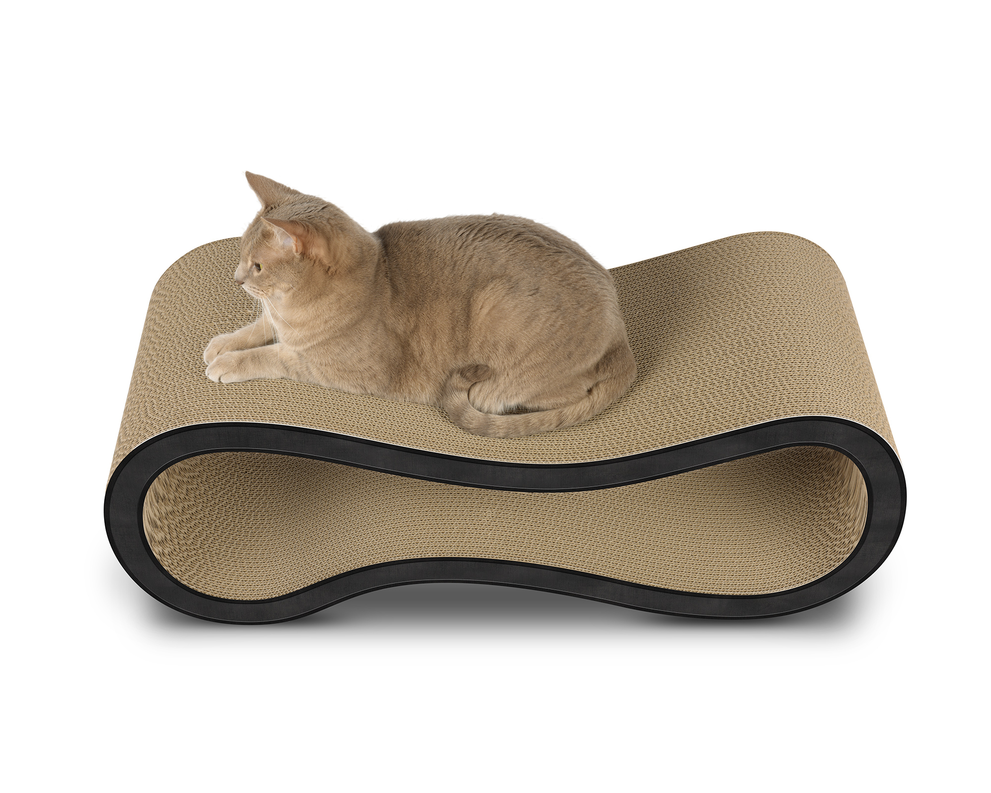 Schwarzer Kratzbaum Singha L aus Wellpappe – Katze auf modernem Design-Möbel