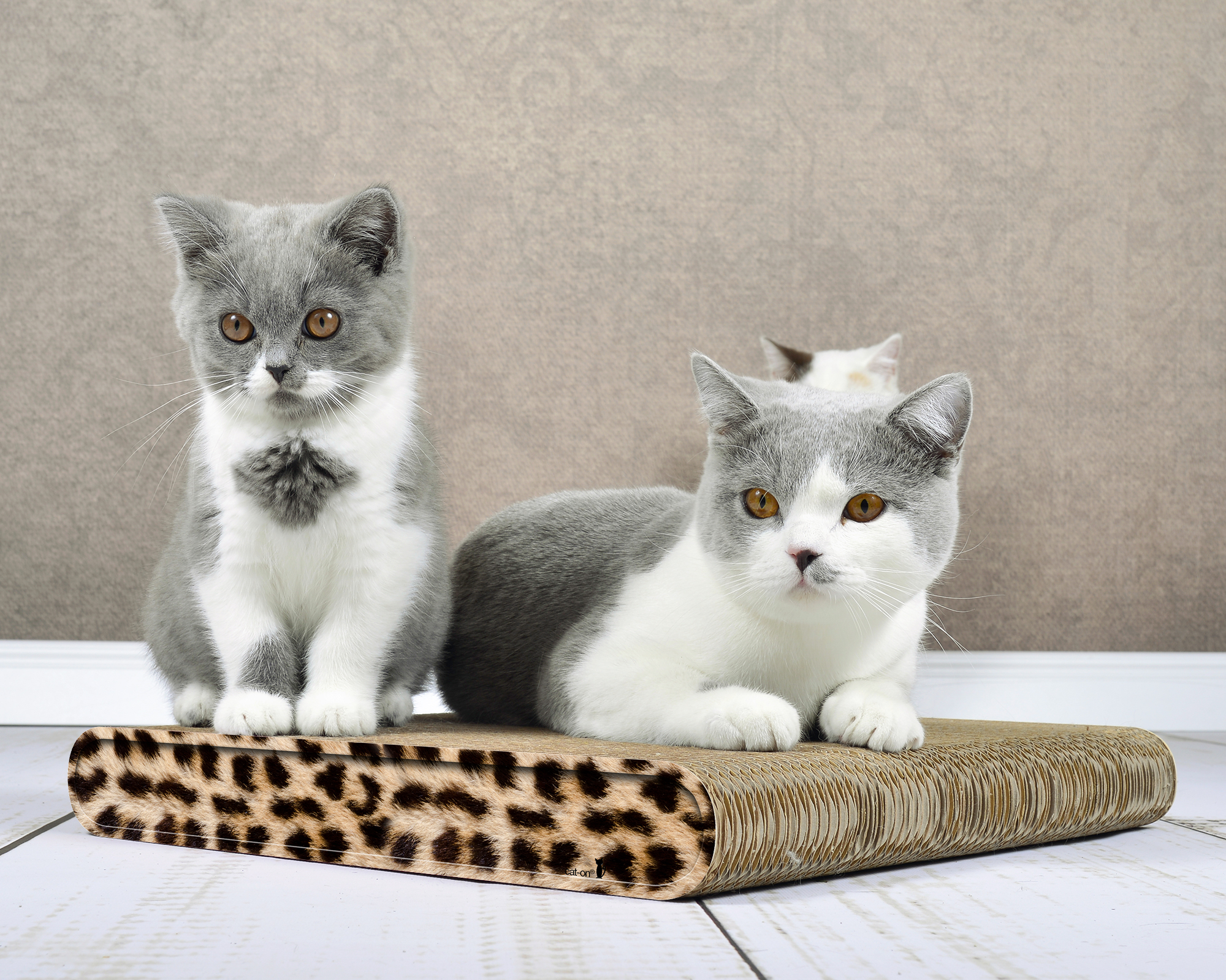 Kratzbrett La Planche (052) mit Raubtiermuster »Gepard« – langlebige Kratzpappe.