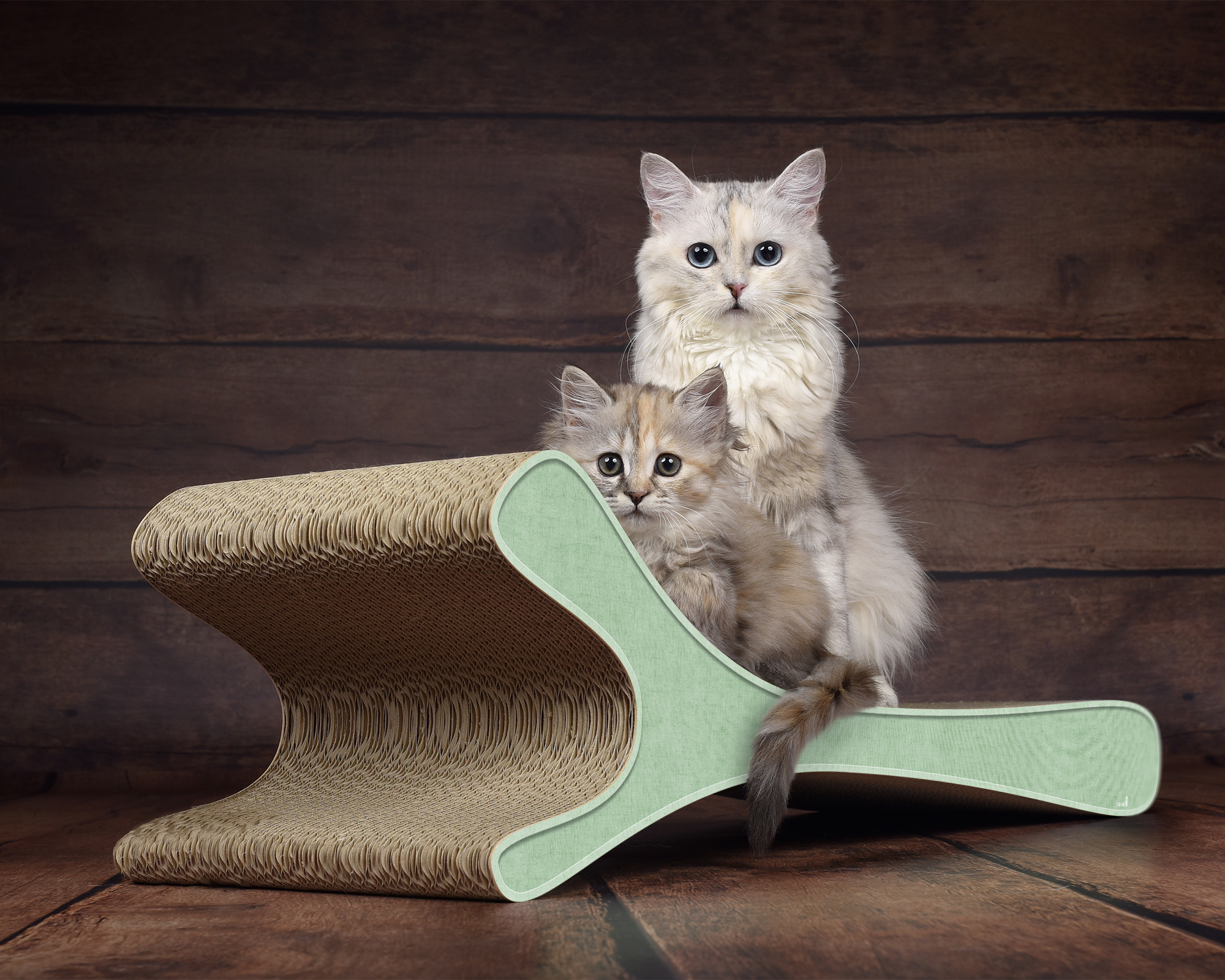 FELINE XL Katzensofa in Mintgrün – komfortabler Schlafplatz und Kratzmöbel für Katzen, gefertigt aus Wellpappe