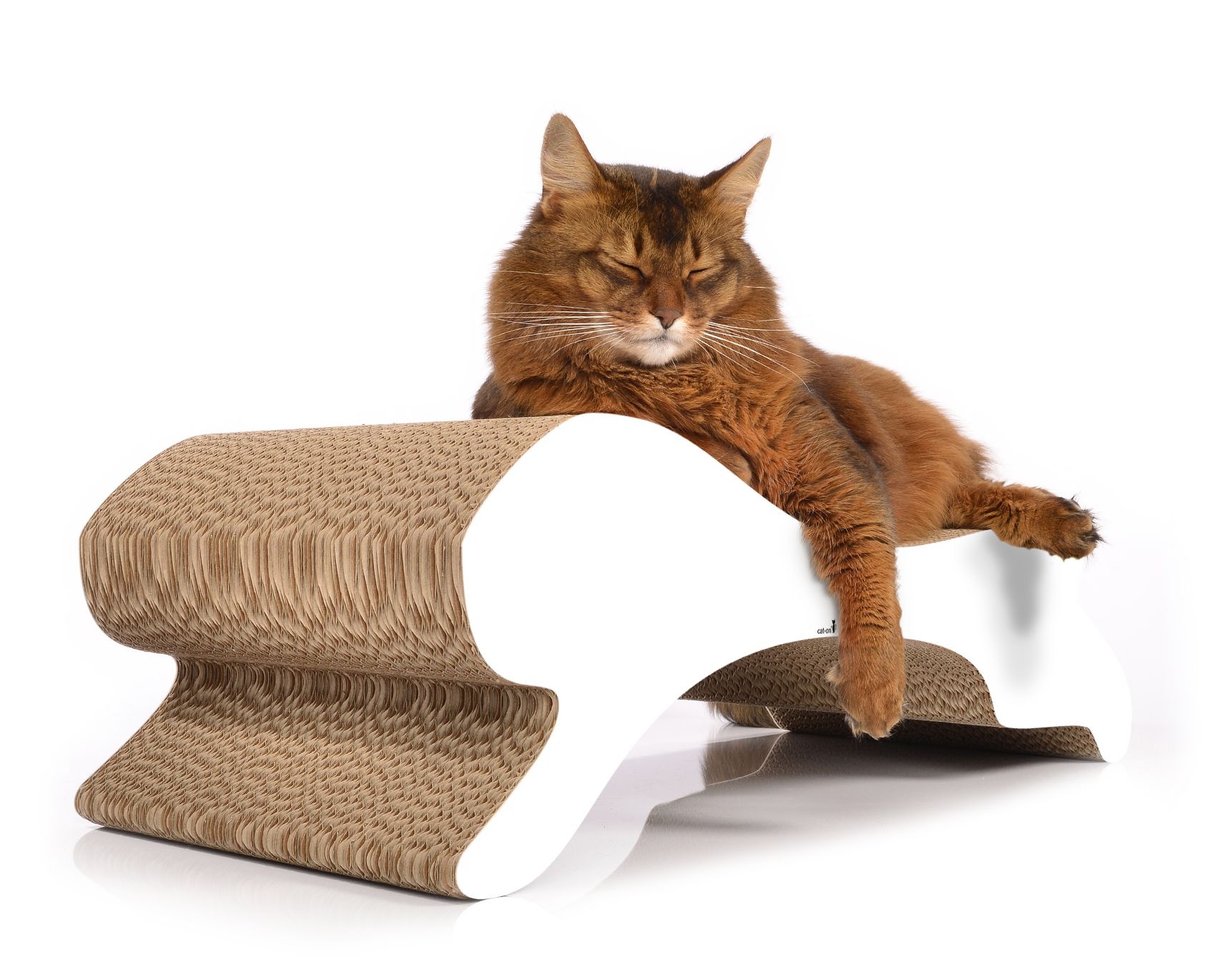 A cat relaxing on the modern cat furniture Motion – stylish design scratcher, cat lounge, cozy resting place