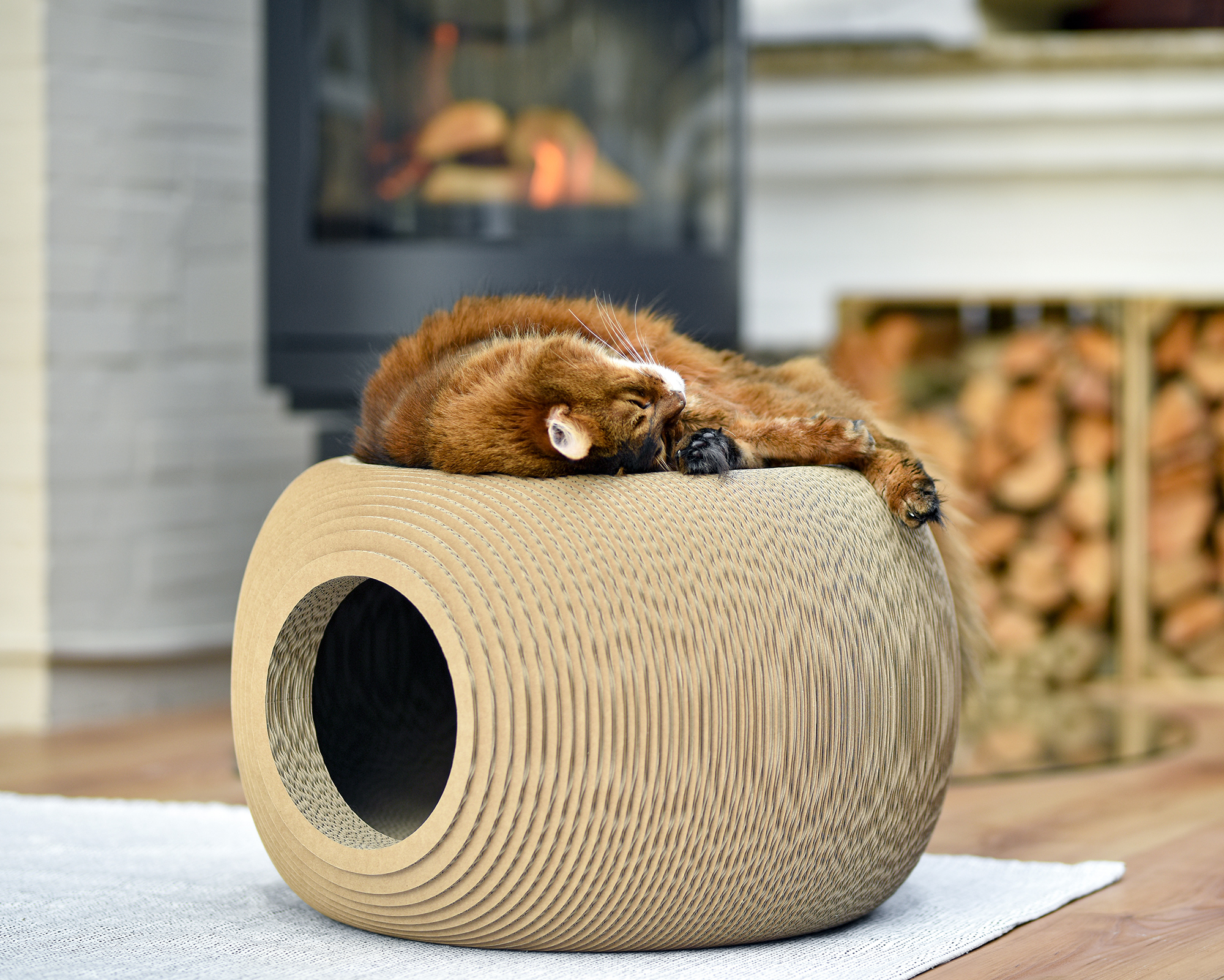 Handgemachter Katzenkorb Bille aus nachhaltiger Wellpappe Katze liegt auf bequemem, runden Katzenkorb mit Katzenhöhle