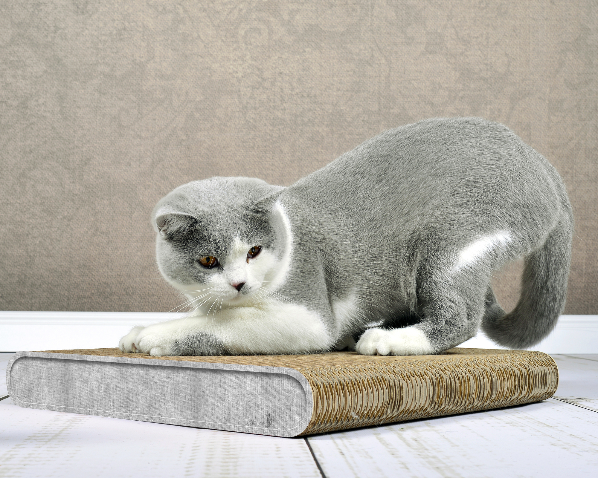 Kratzbrett La Planche (001) – pflegeleichtes, robustes Kratzmöbel in Grau.