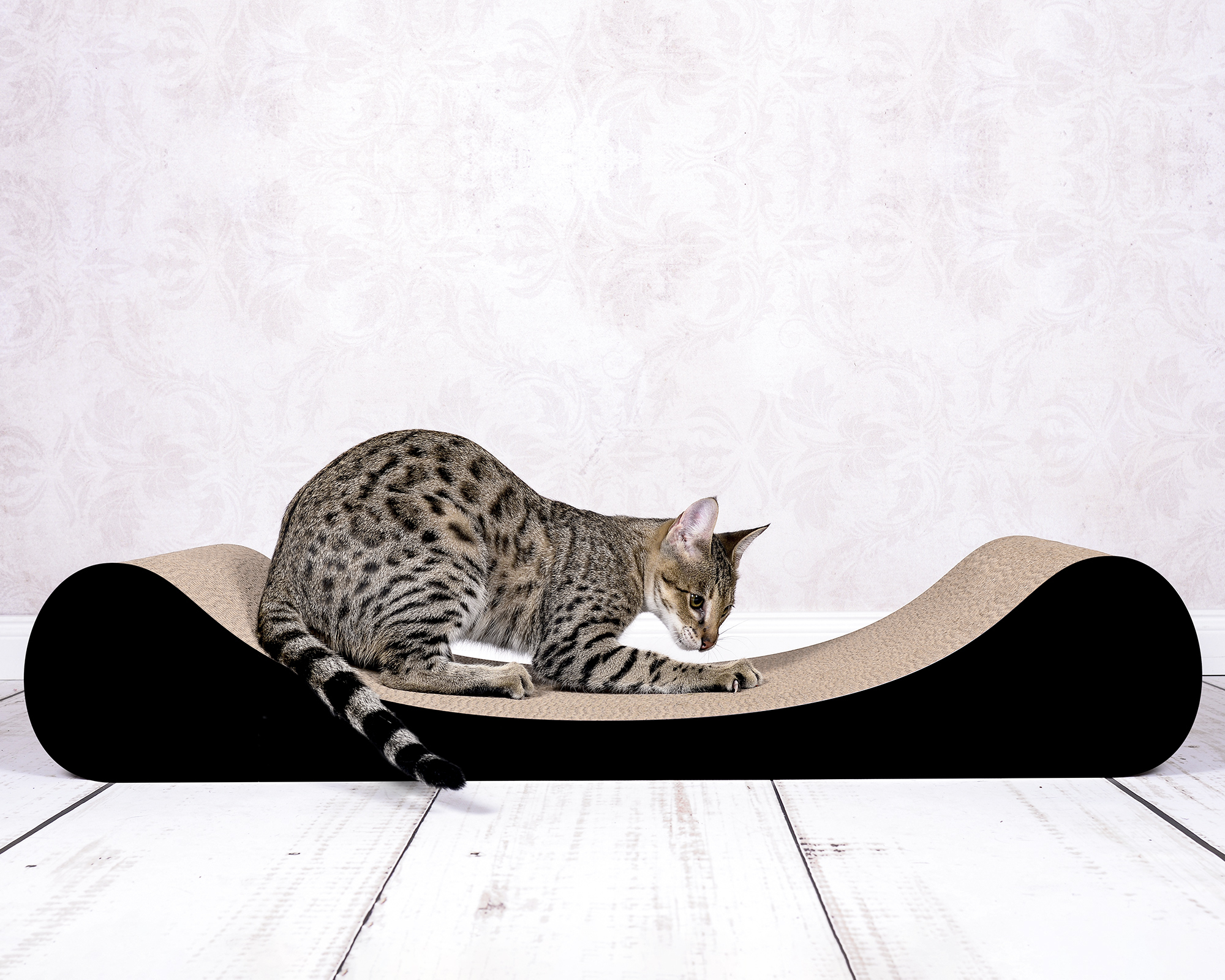 Ergonomisch geformtes Design Kratzmöbel LE DIVAN für Katzen aller Größen