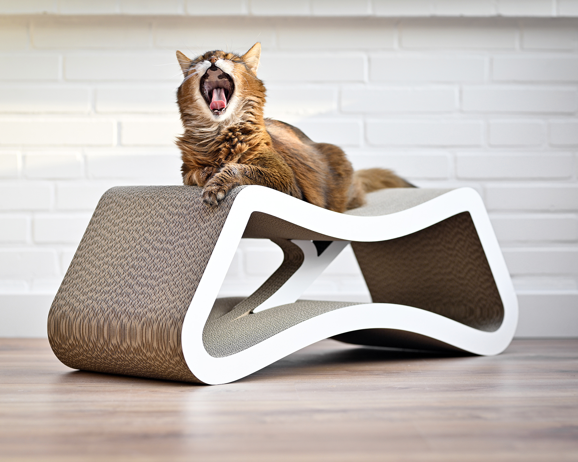 Kratzmöbel LE PONT – Entspannter Platz für große Katzen Große Katze gähnt entspannt auf dem eleganten Kratzmöbel LE PONT.