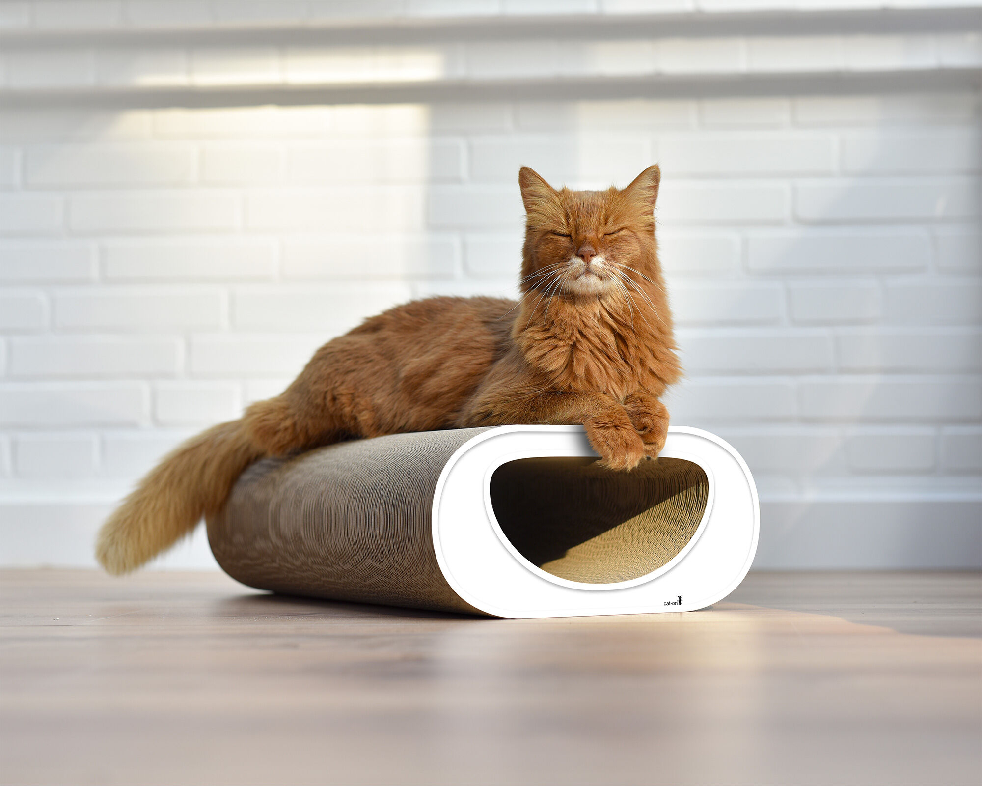 Katze chillt auf LE TUNNEL – elegantes Kratzbrett aus Kratzpappe Eine Katze entspannt sich auf LE TUNNEL – dem stilvollen Kratzbrett aus langlebiger Kratzpappe, ideal zum Chillen, Kratzen und Wohlfühlen.