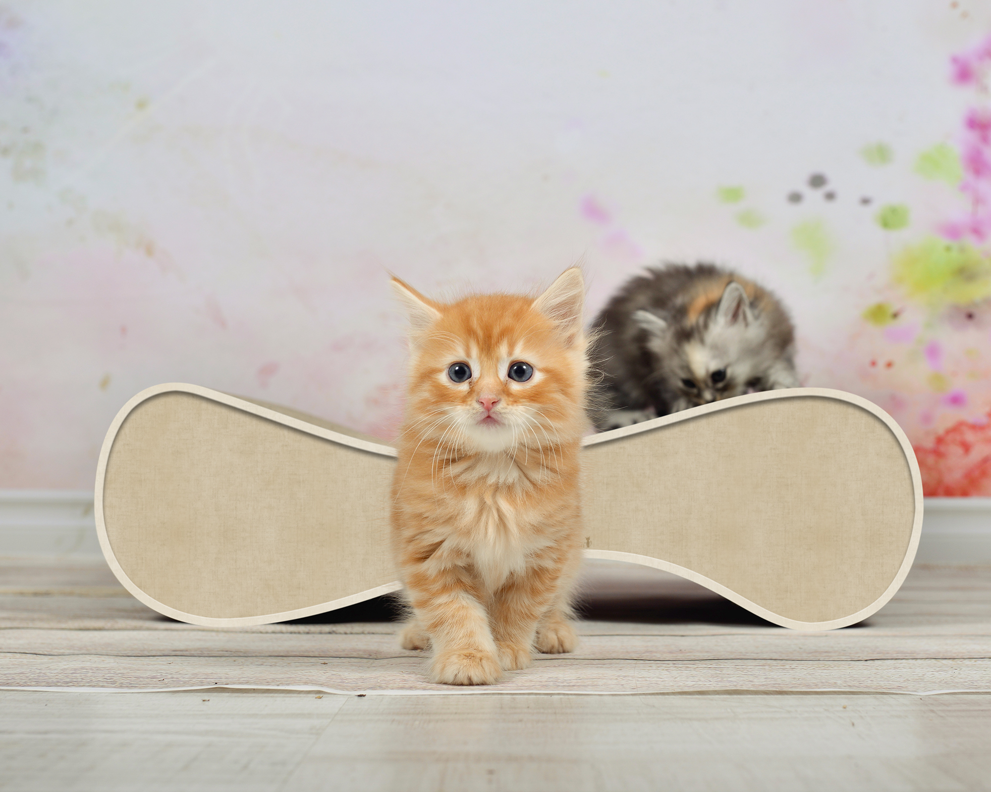 LE VER S Katzensofa in Beige – hochwertiges Katzenmöbel und Liegeplatz aus Kratzpappe, handgefertigt in Deutschland
