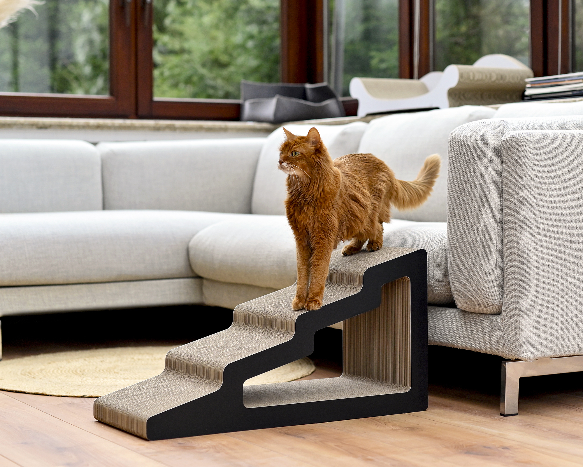 Coole Katze steht auf sytlischer kratztreppe aus Kaidan  Kratzpappe und schaut alt