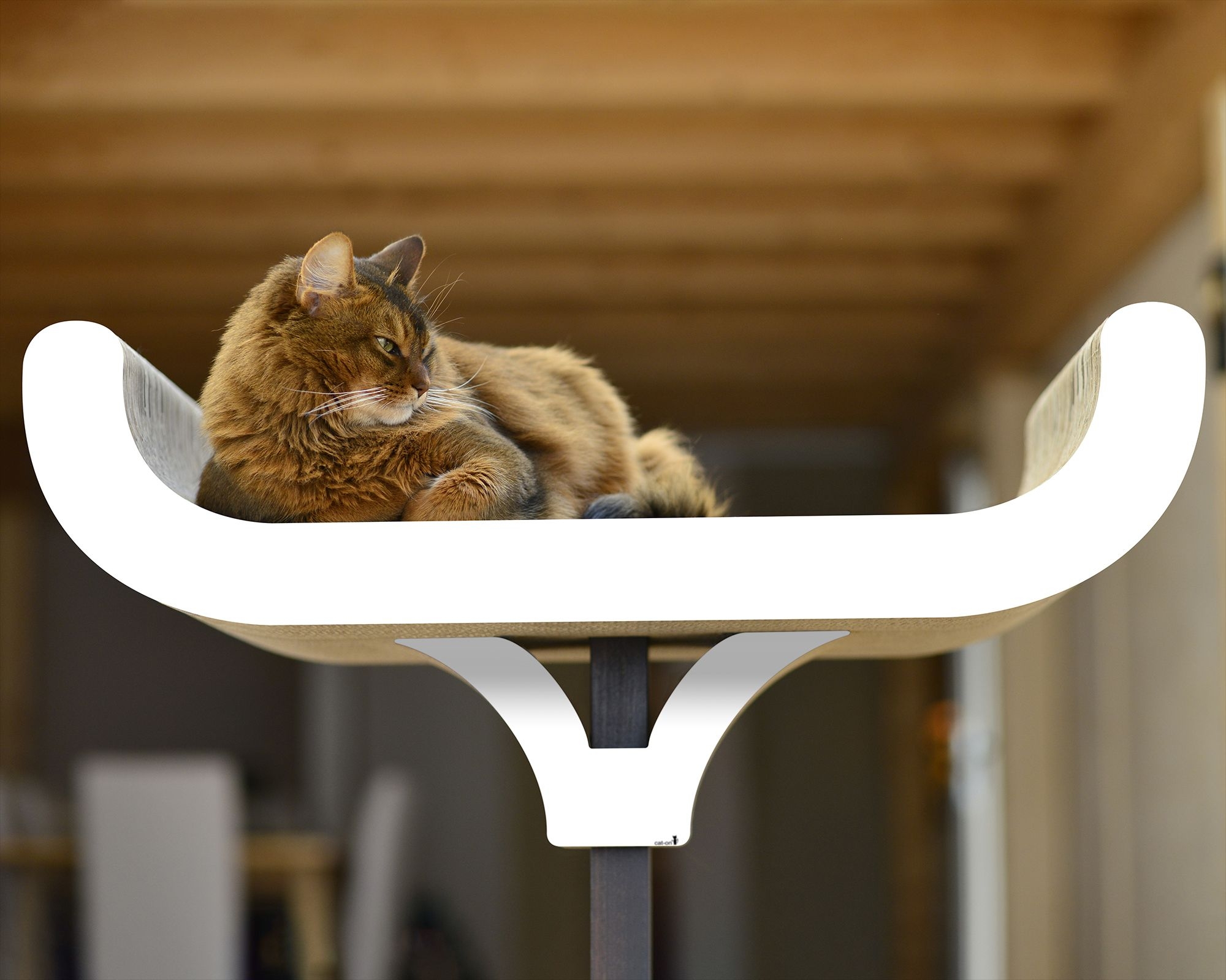 CORBEILLE Designer-Kratzbaum mit Vollholz | cat-on