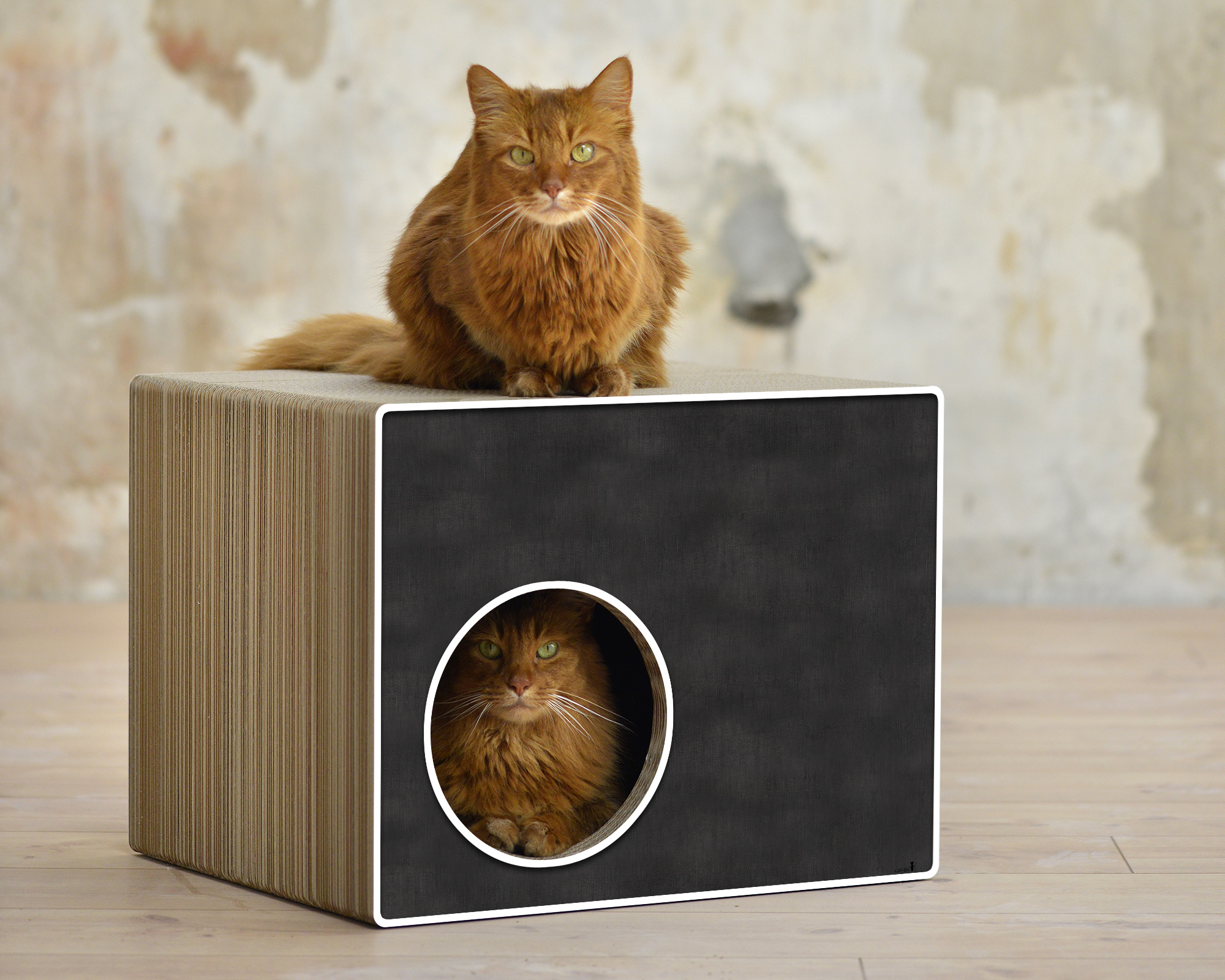 PHREDIA Eckhaus von cat-on, eine Katze oben liegend, eine Katze innen