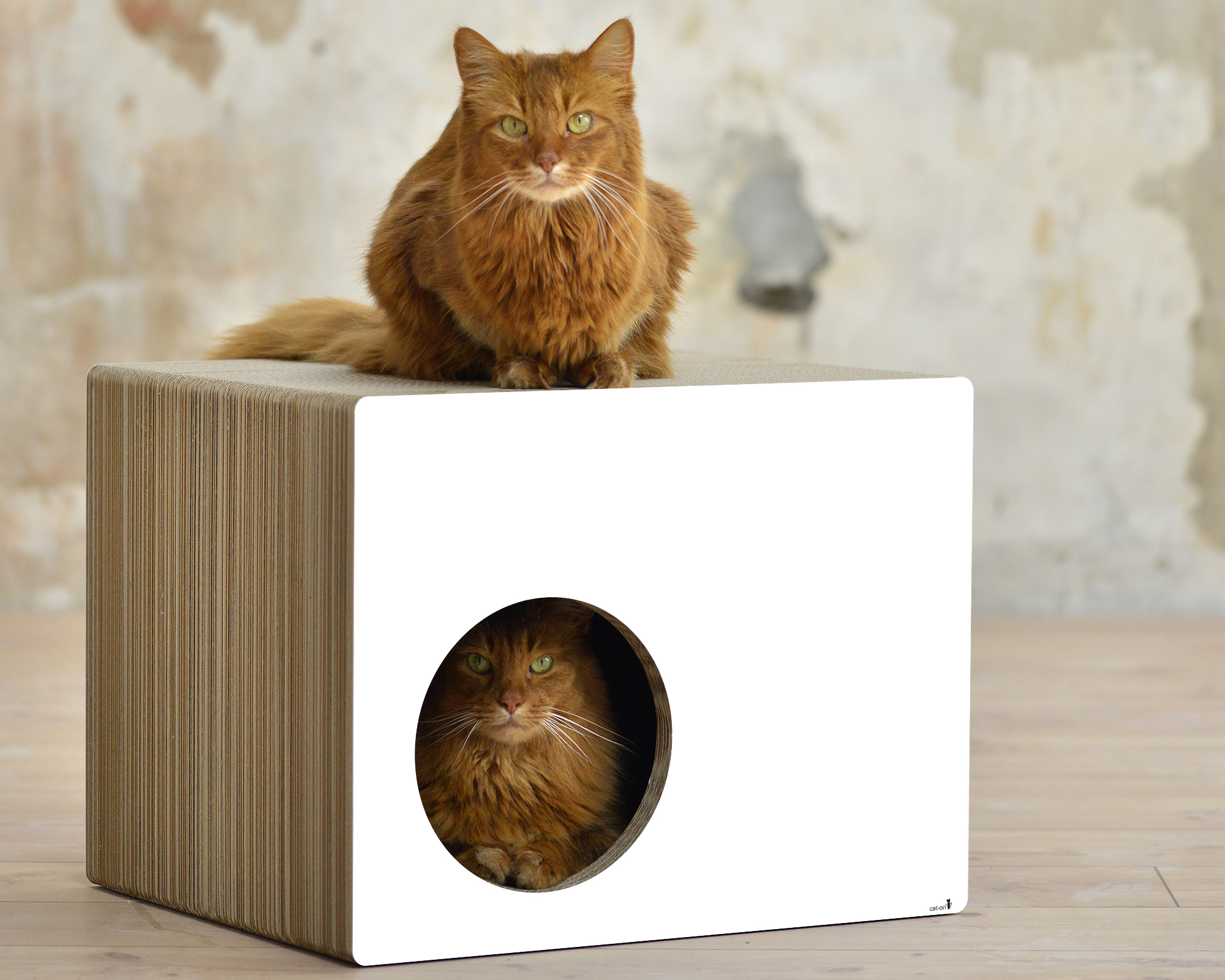 PHREDIA Corner House by cat-on, one cat on top, one cat inside