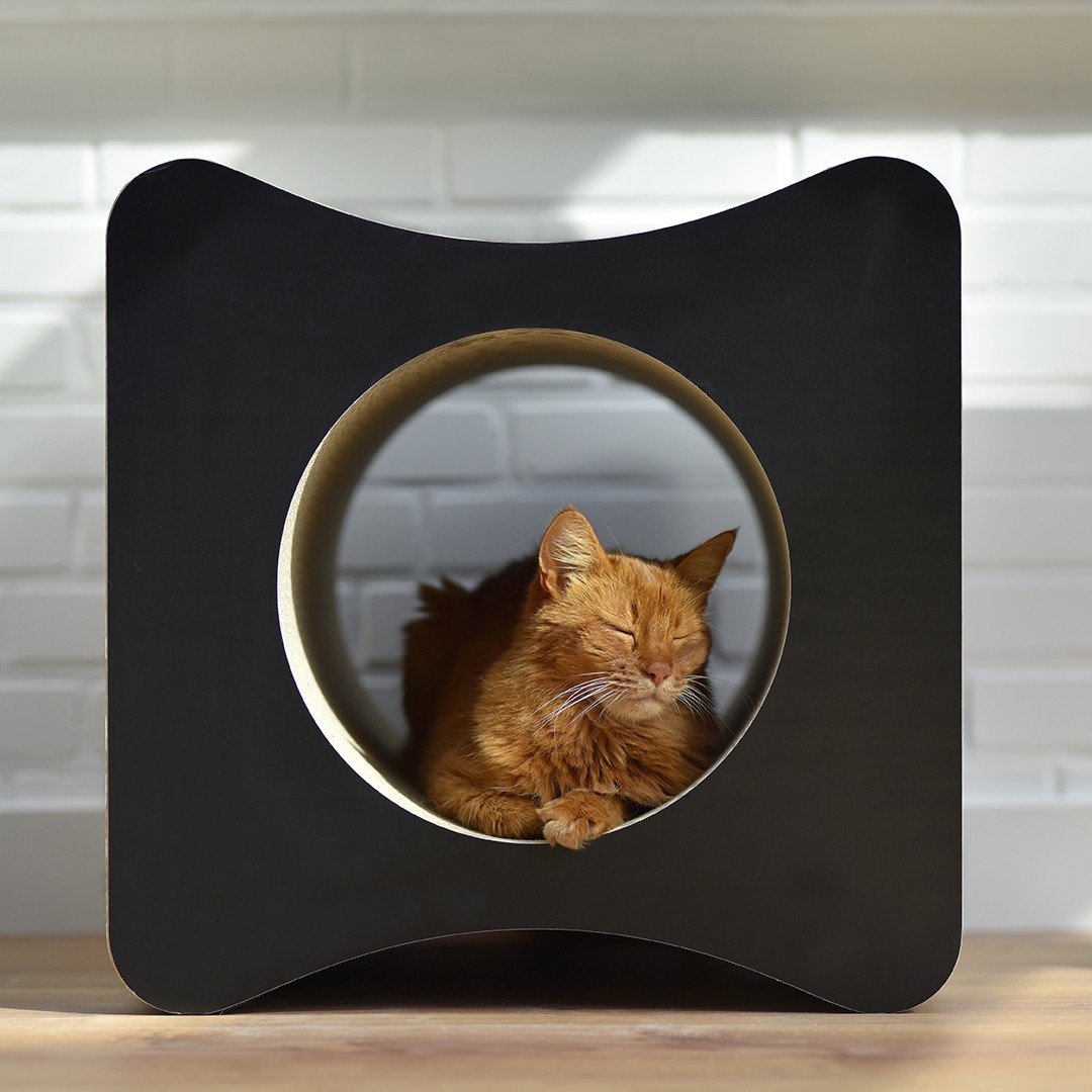 Grand griffoir pour chats LE CUBE