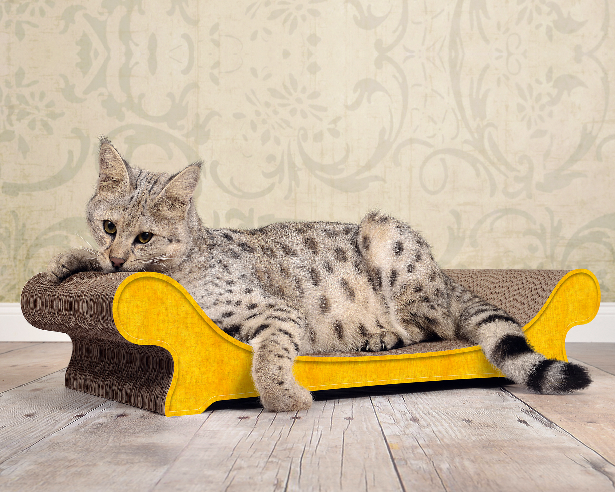 LE CANAPÉ PLUS cat sofa by cat-on, with cat resting on top