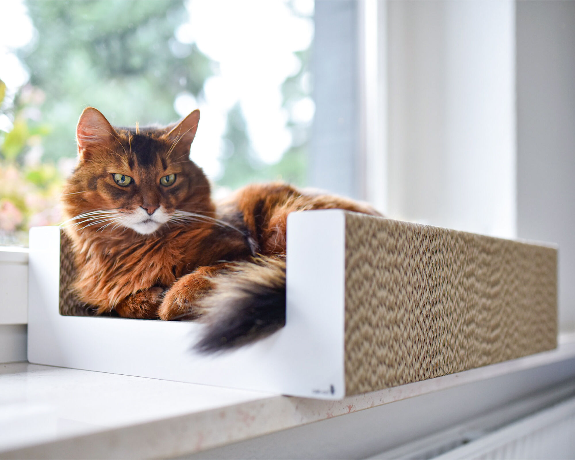 Cat on PURRFECT SCRATCH LOUNGE – stylish cardboard scratching board A cat relaxing and scratching on the PURRFECT SCRATCH LOUNGE – a modern designer scratching lounge made of sustainable corrugated cardboard for cats.