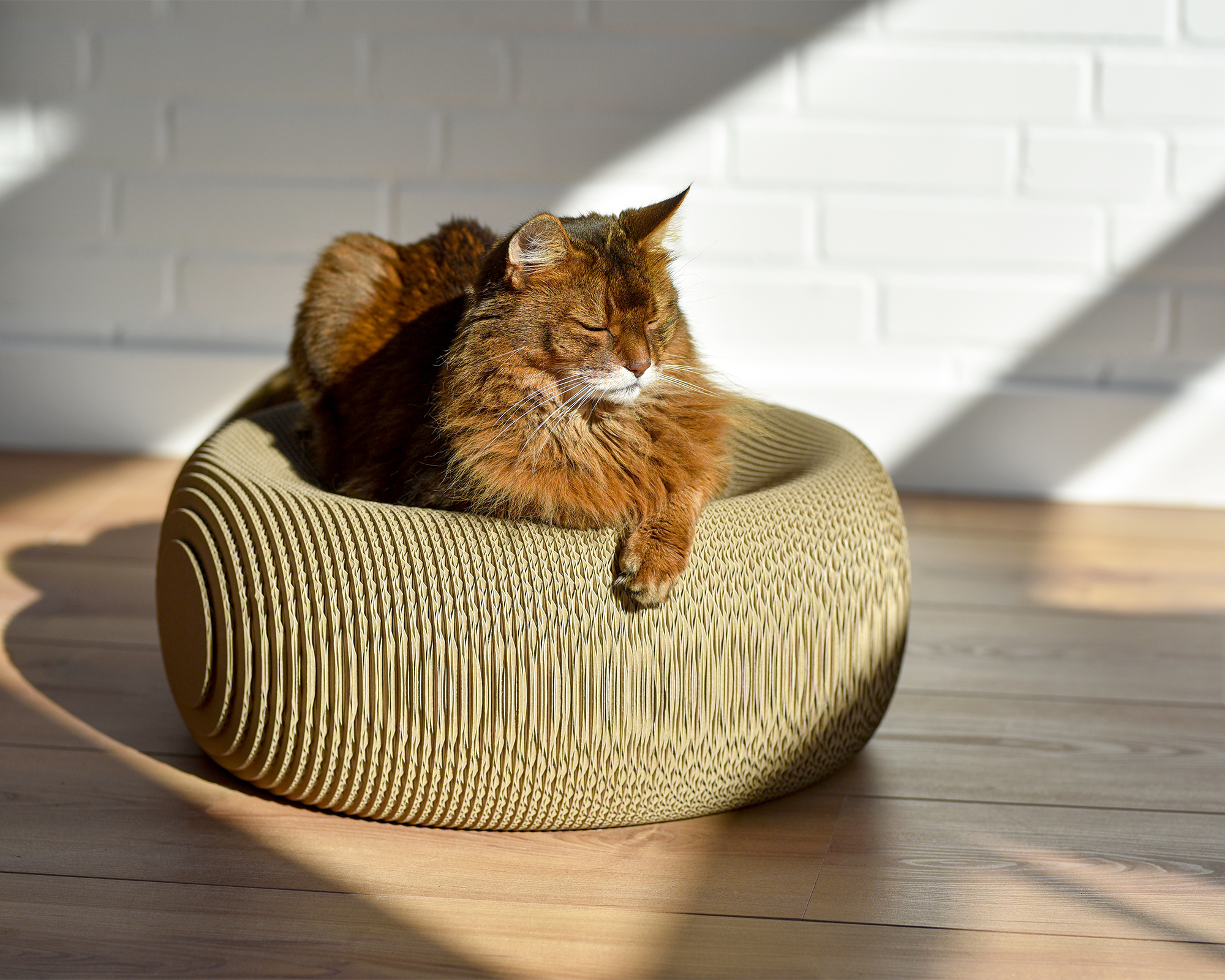 Design Katzenmöbel LE PLOUFF Robustes Design Katzenmöbel und Kratzmöbel aus Kratzpappe