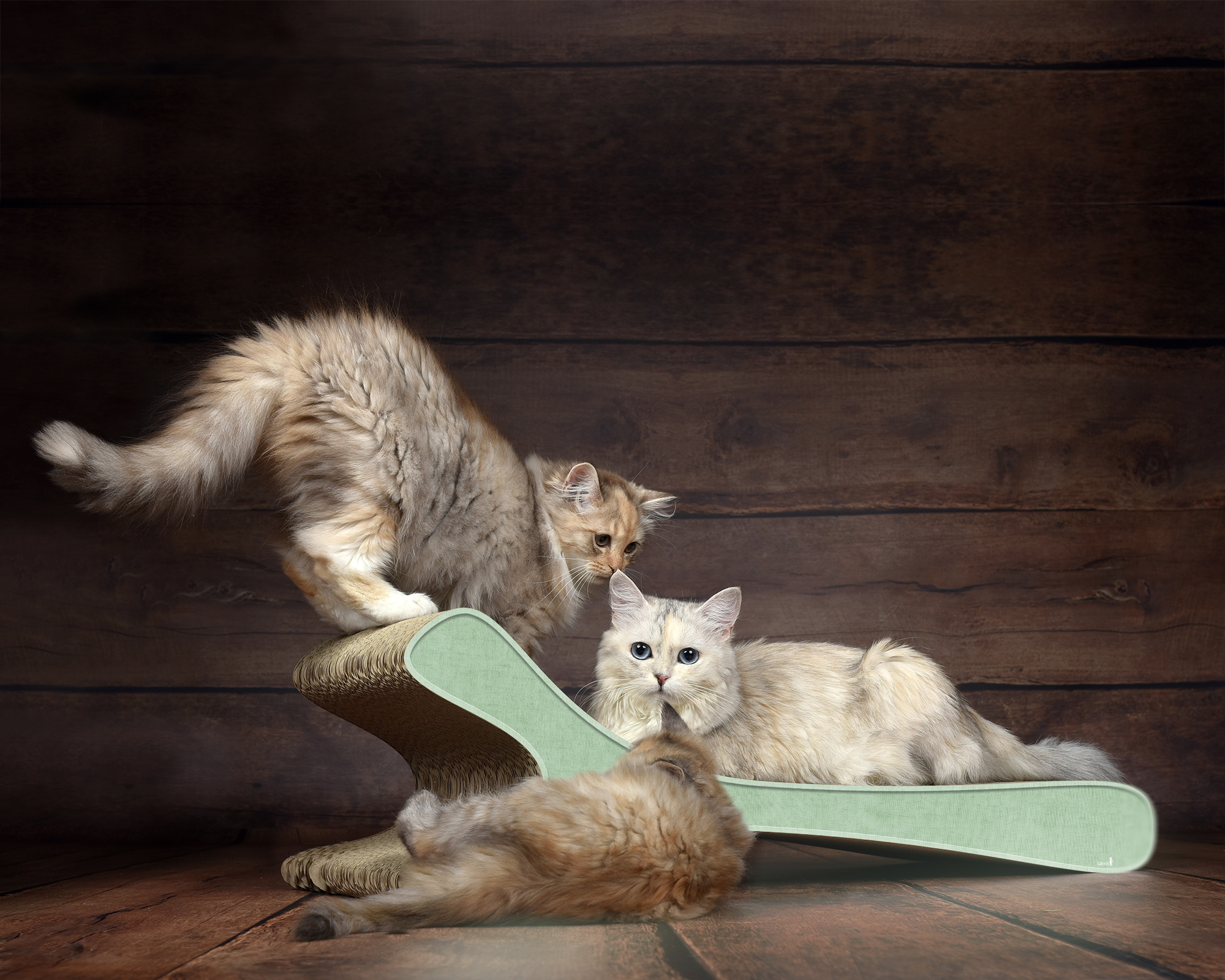 Modell FELINE XL in Mintgrün – edles Katzenmöbel aus Kratzpappe – langlebig und handgefertigt in Deutschland