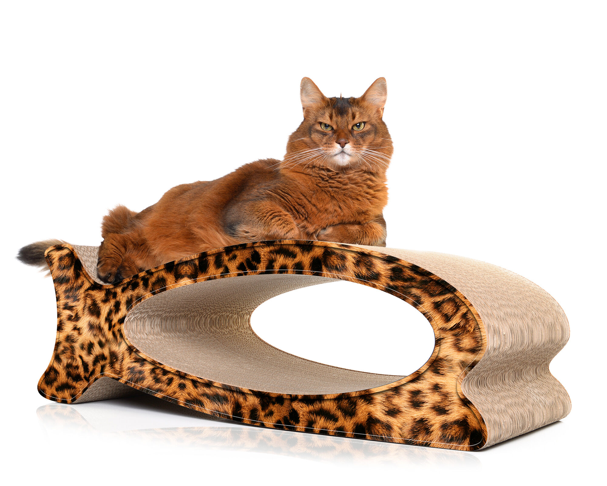 Katze spielt mit LE FISH – Kratzbaum aus Karton in Fischform