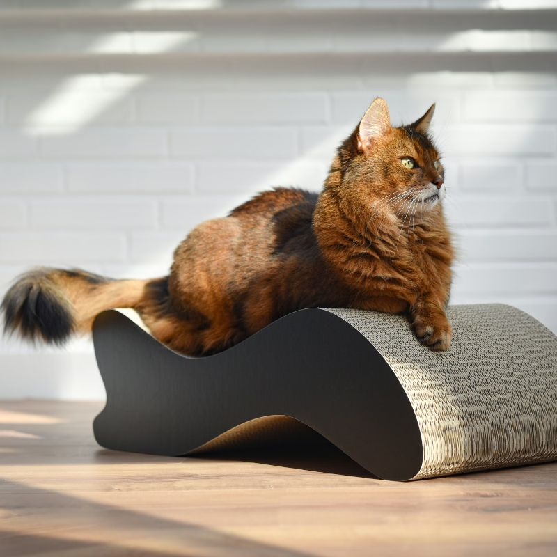 Katze entspannt auf stylischem Design-Katzenmöbel aus Wellpappe