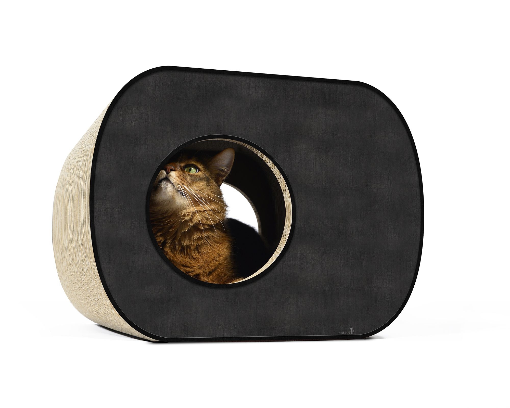 Cat enjoying comfort in the cat-on Brochhaus – spacious cat house and multifunctional cat furniture, also usable as a seat