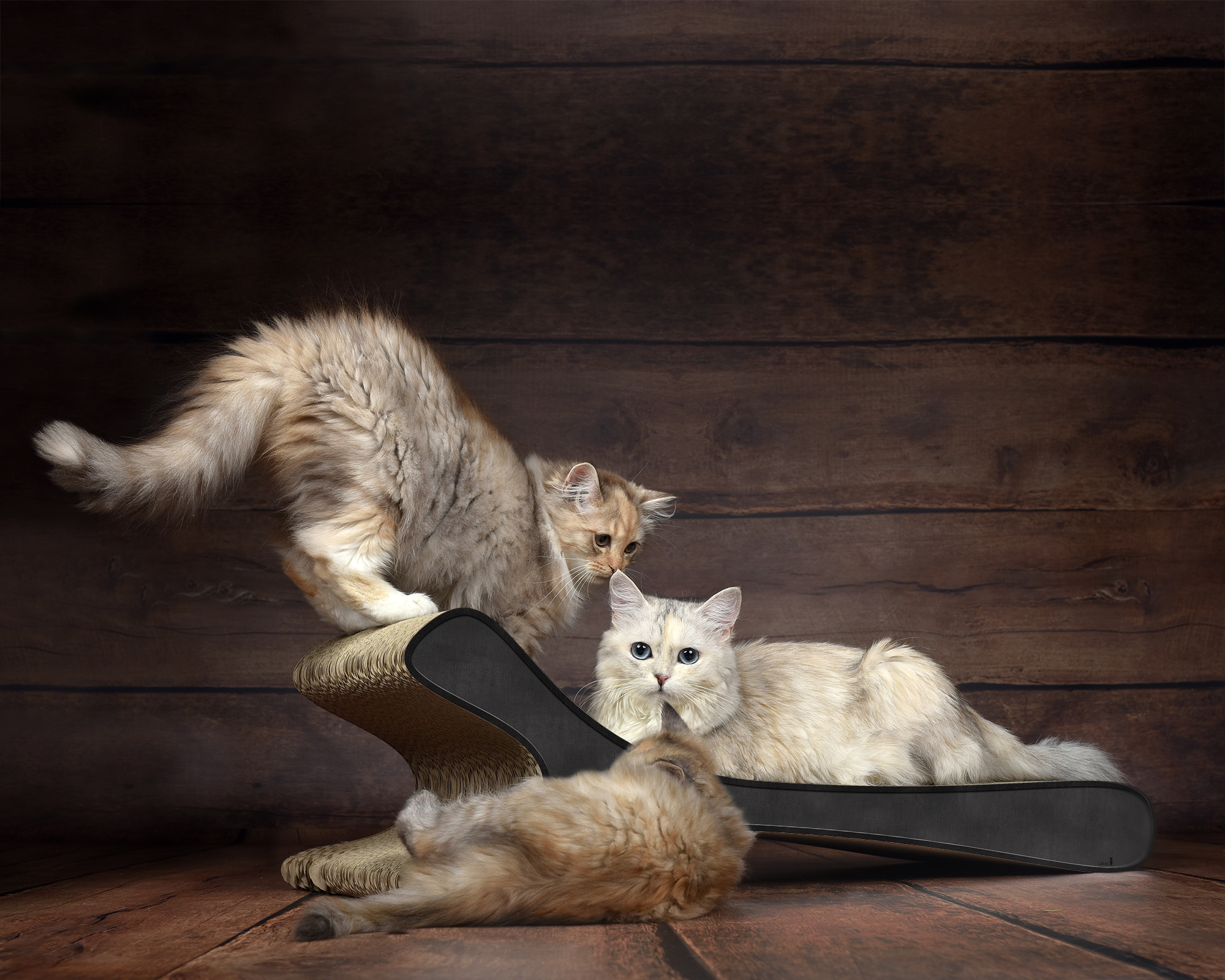 FELINE XL Sofa für Katzen in Beige – edles Katzenmöbel aus Kratzpappe – langlebig und handgefertigt in Deutschland