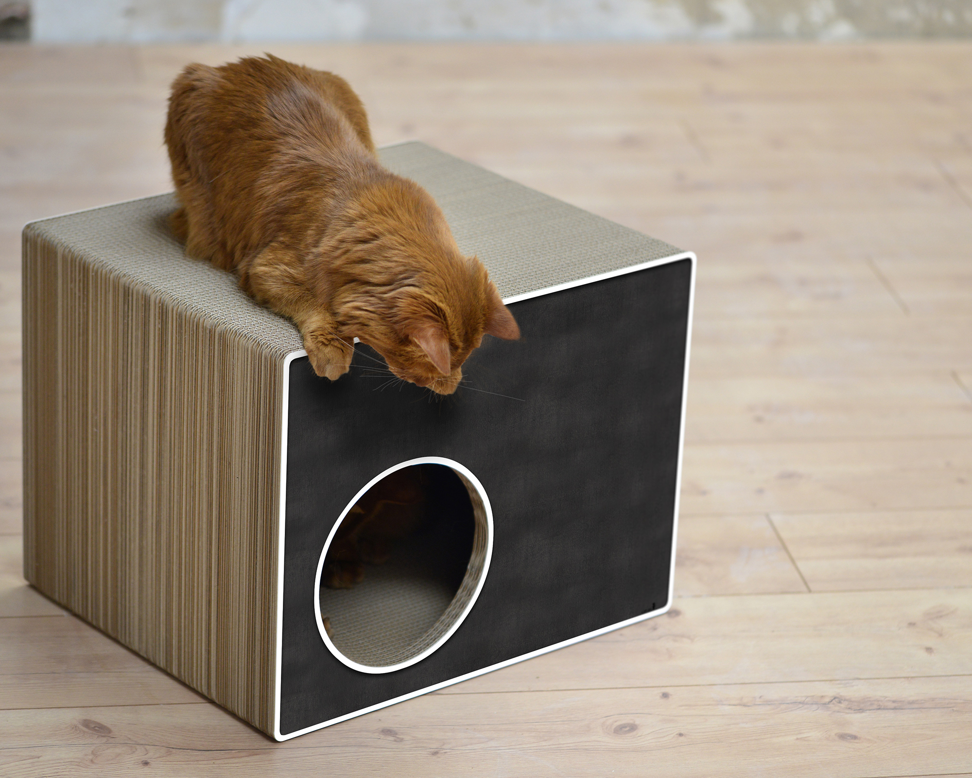 PHREDIA Eckhaus von cat-on, eine Katze oben liegend, eine Katze innen