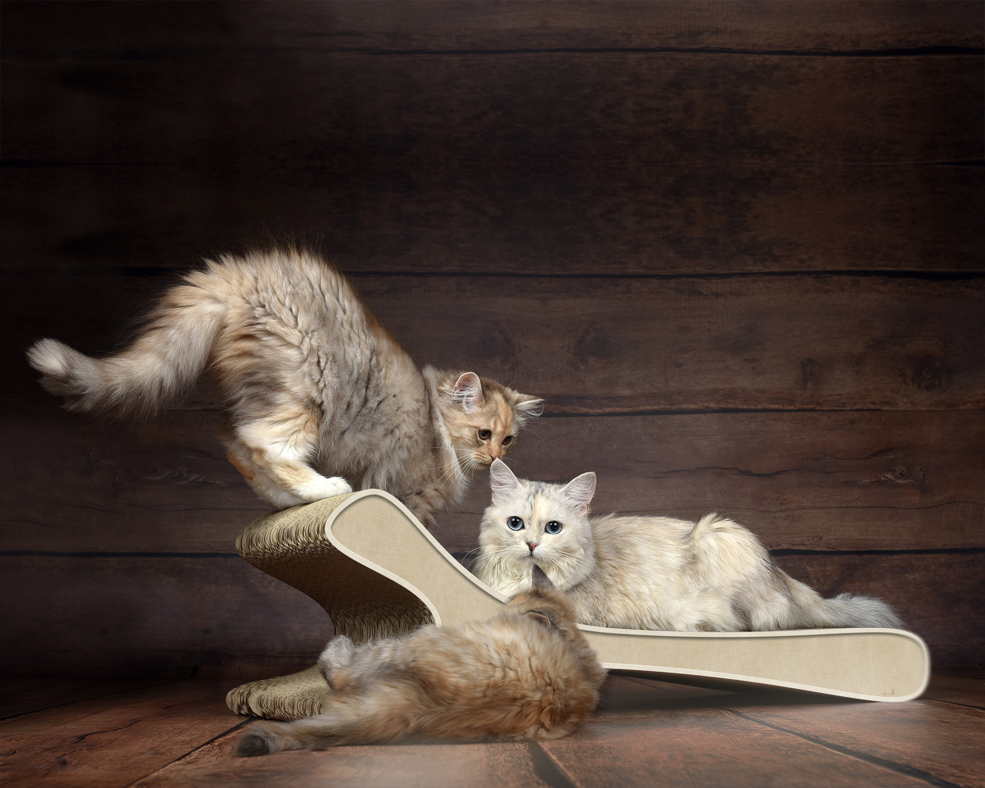 FELINE XL Sofa für Katzen in Unbekannt – stilvolle Katzenliege aus nachhaltiger Kratzpappe, Made in Germany